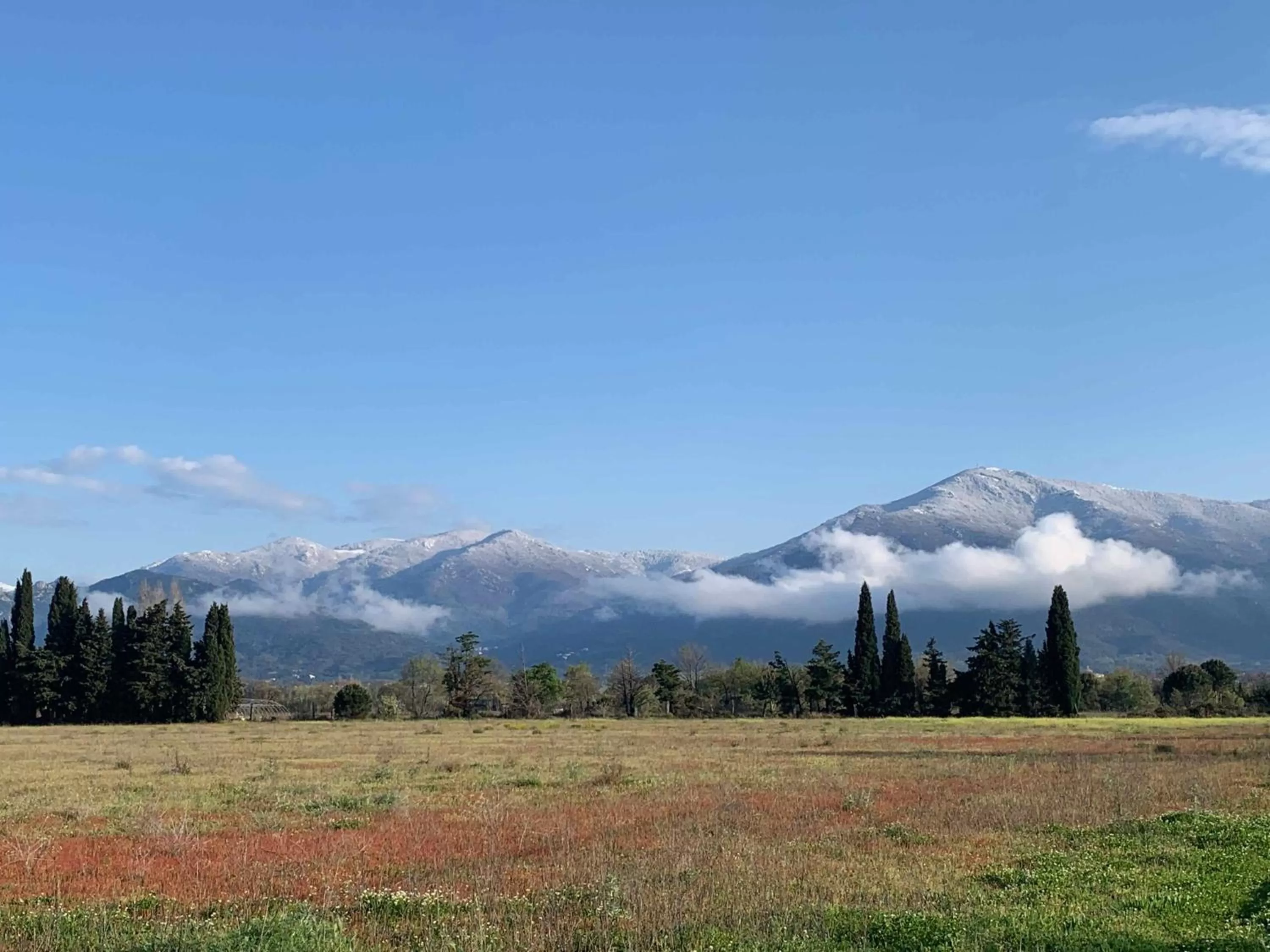Neighbourhood in Chambres d hôtes du Castell de Blés