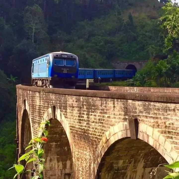 Ella Lucky Panoramic