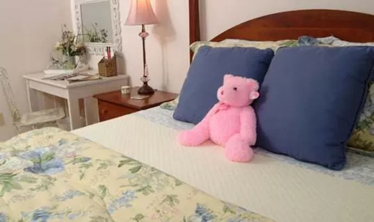 Bed in Berry Springs Lodge