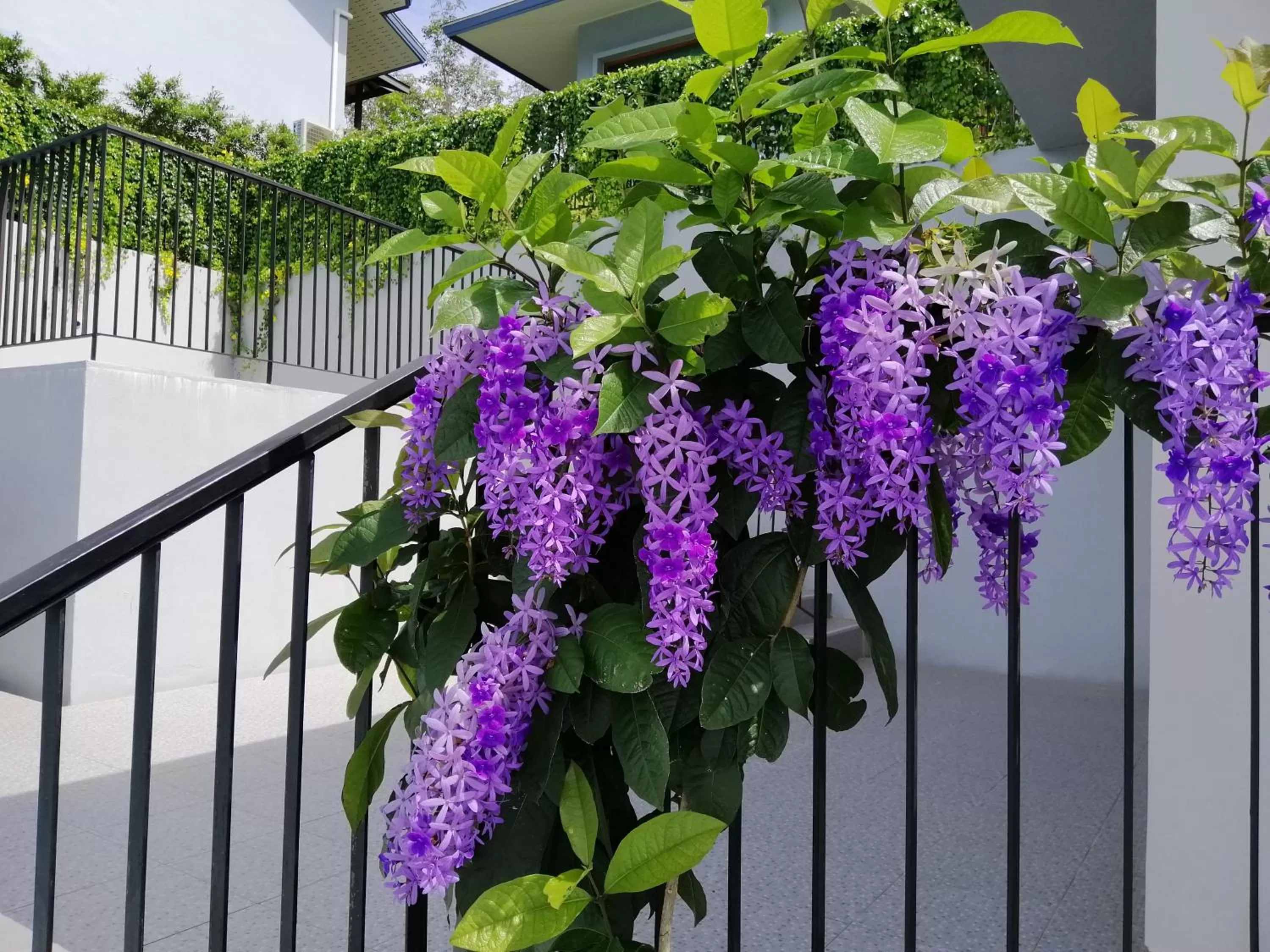 Khaolak Blue Sky Villa