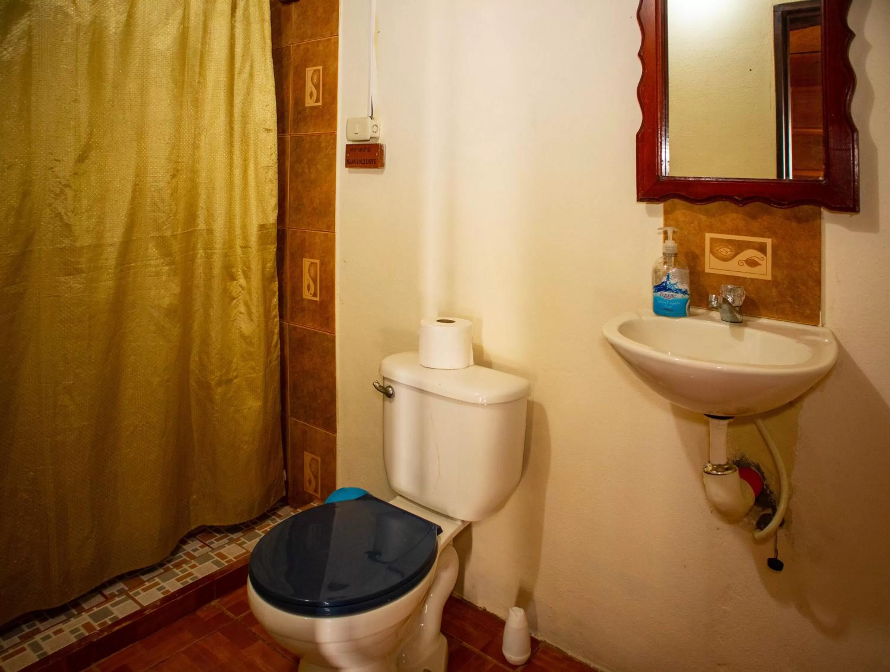 Toilet, Bathroom in Mayan Spirit