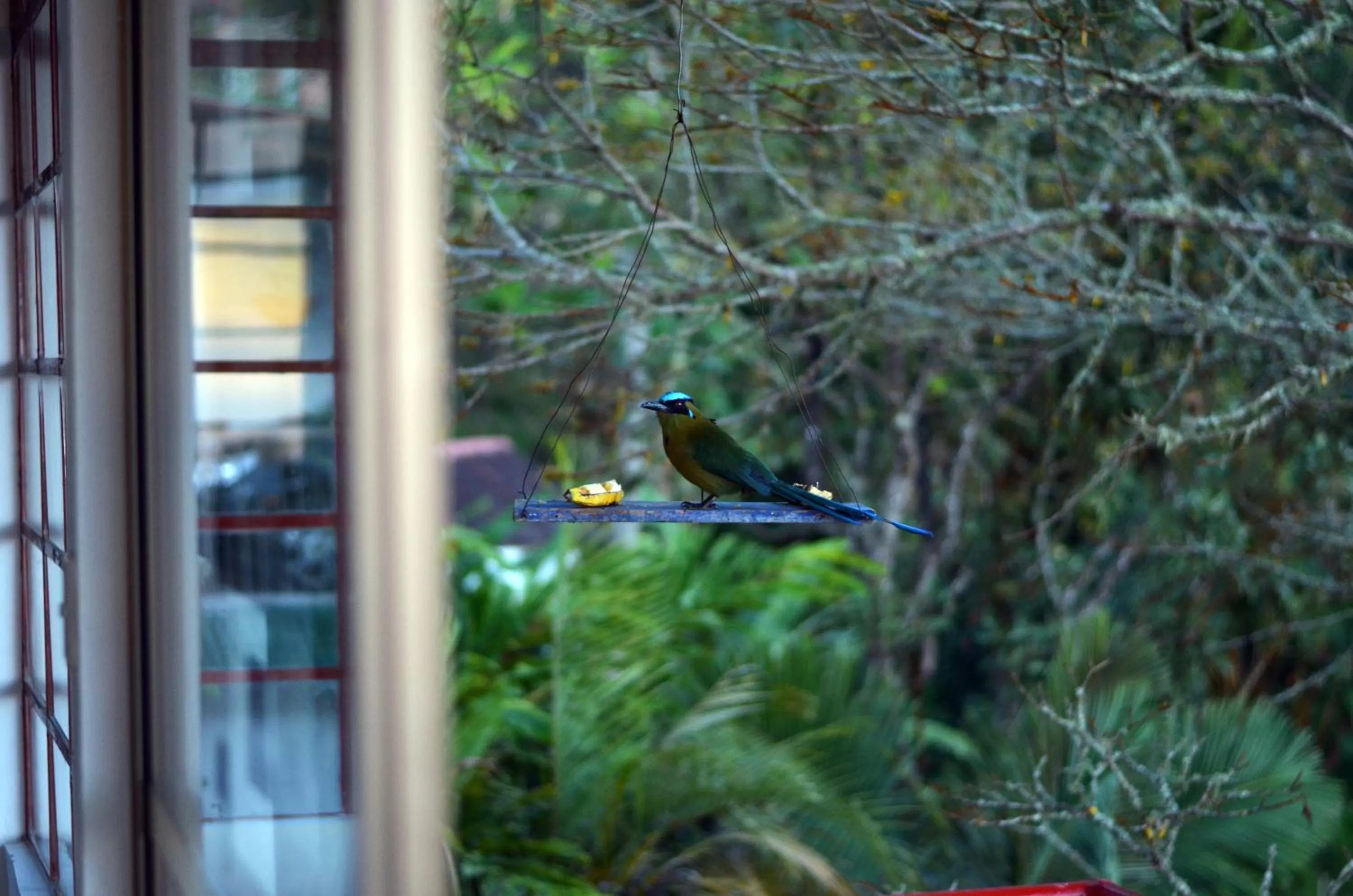 Facade/entrance, Other Animals in Eco Lodge La Juanita
