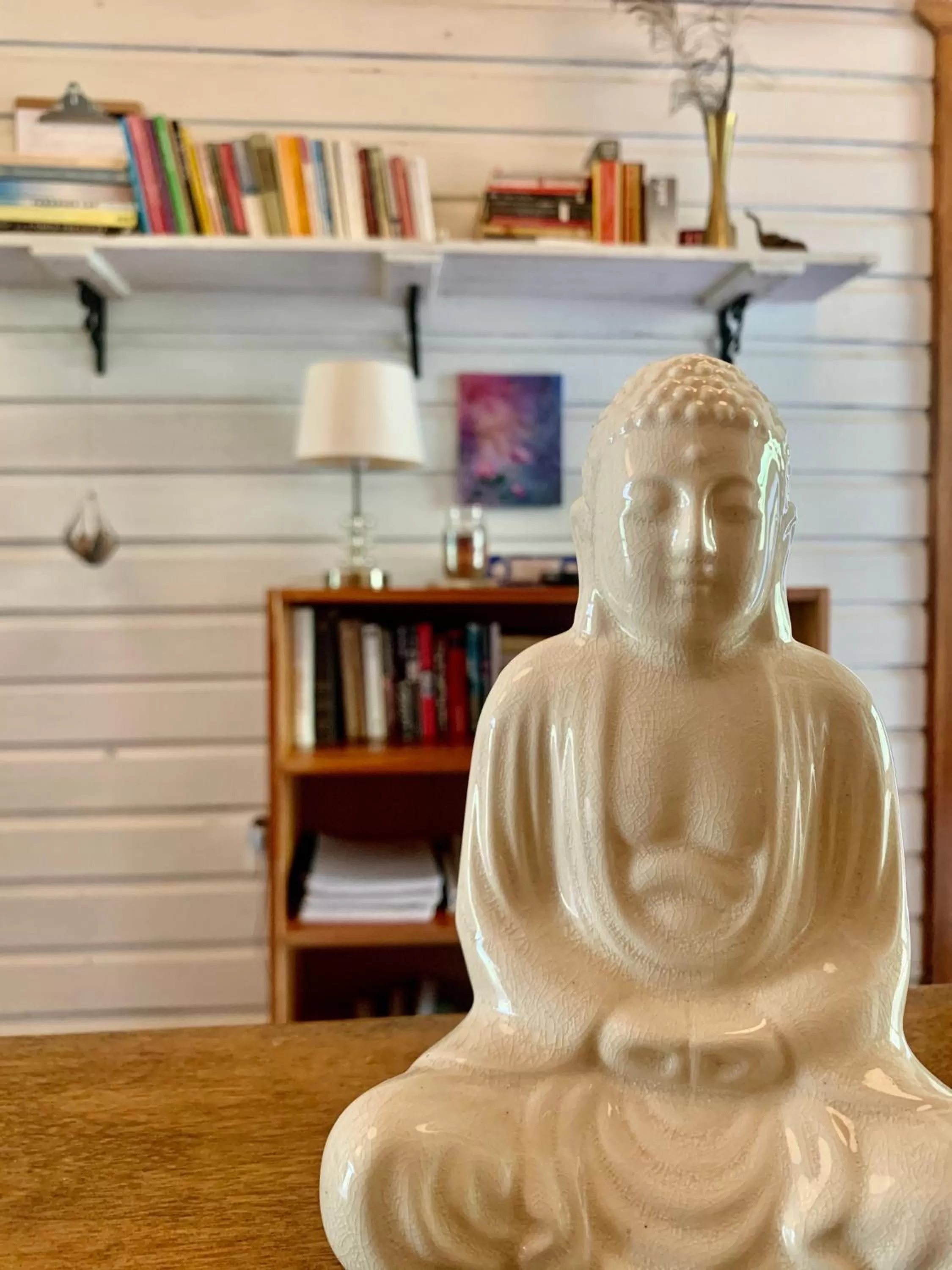 Library in Sattva Land