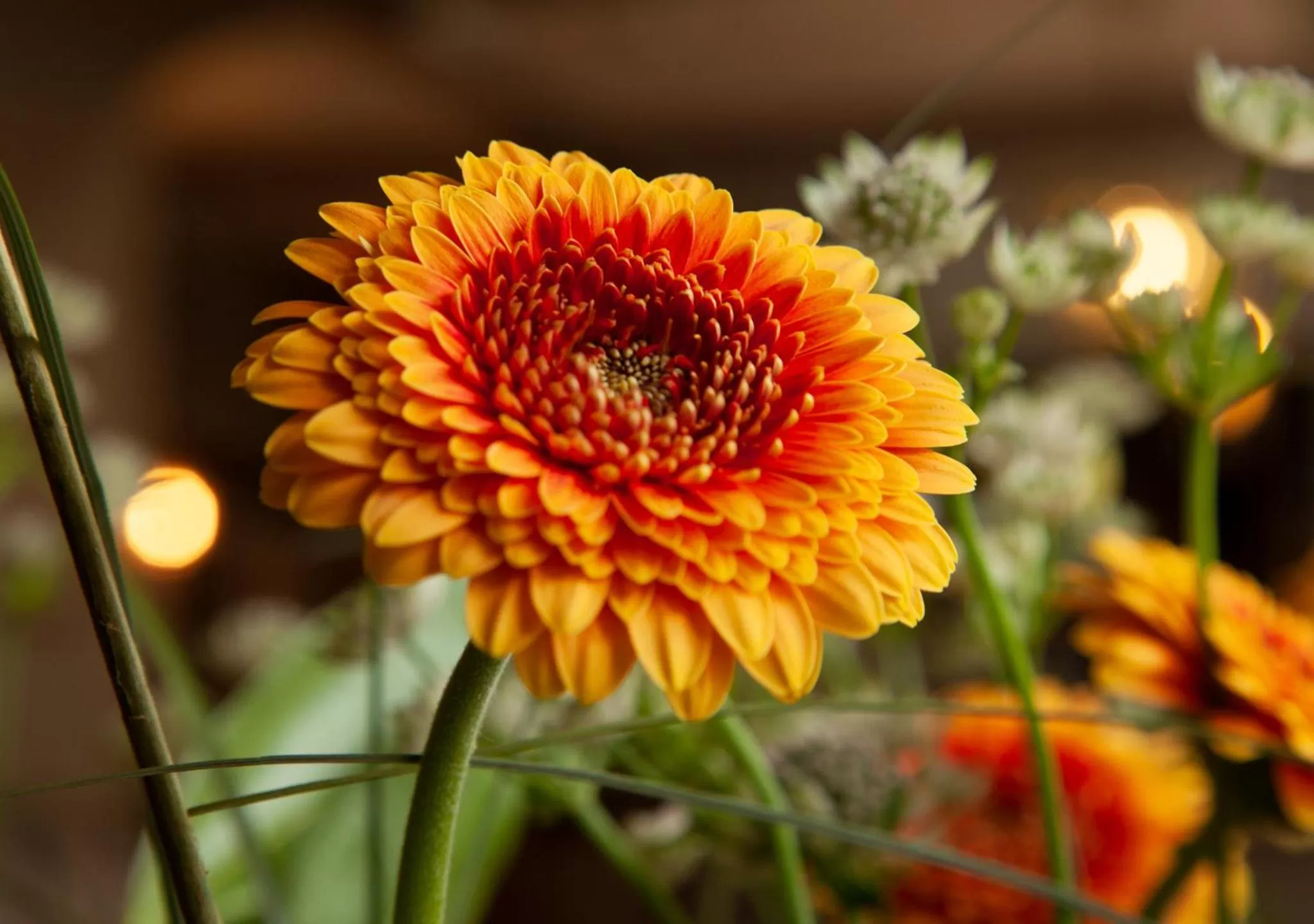 Living room in The Kings Arms Hotel
