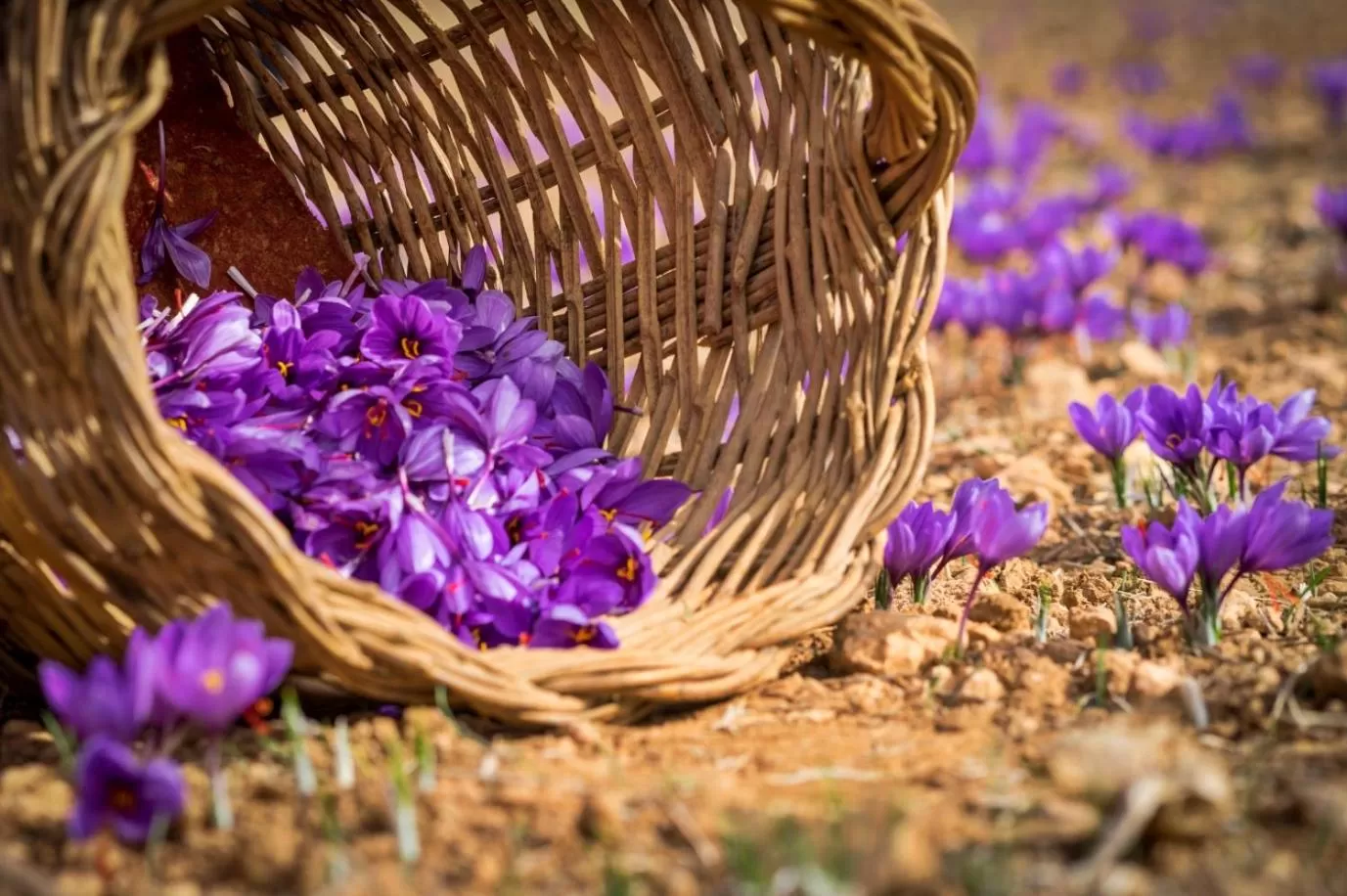 Other in La Casa del Médico Hostería Rural