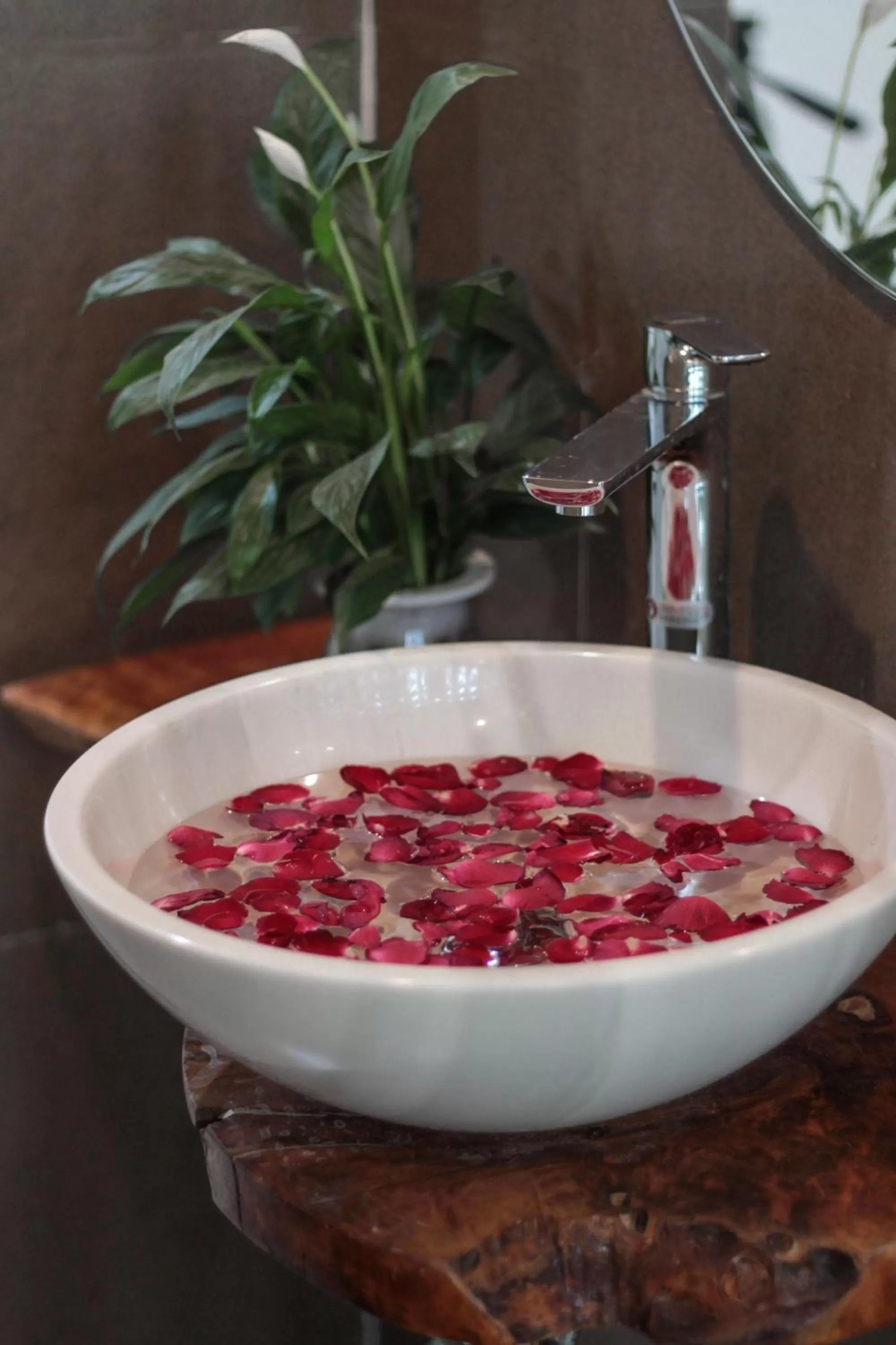 Bathroom in ᴛᴀᴍ ᴄᴏᴄ ᴄᴏᴄᴏᴏɴ ʜᴏᴍᴇsᴛᴀʏ