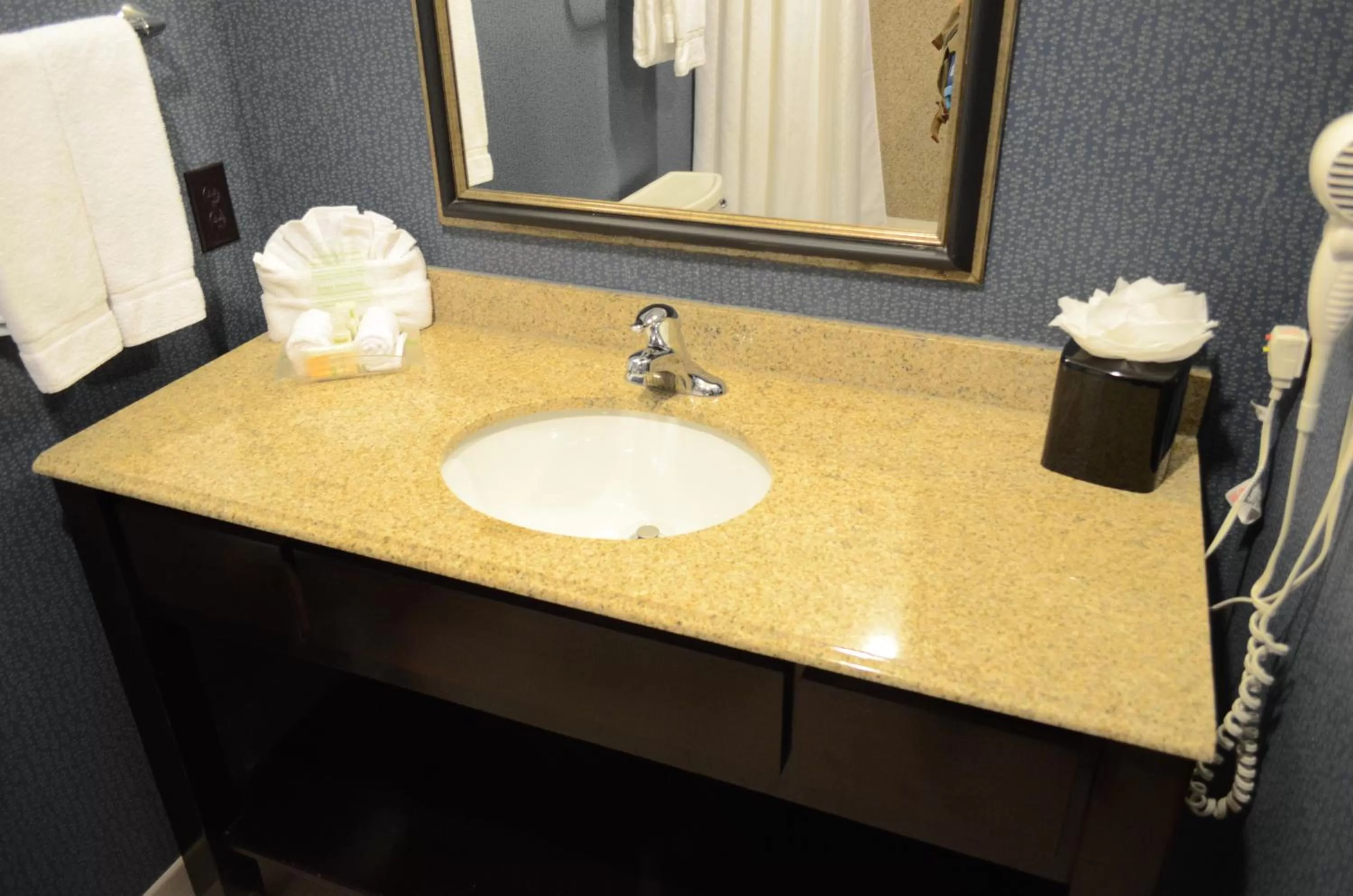Holiday Inn Houston East-Channelview by IHG
