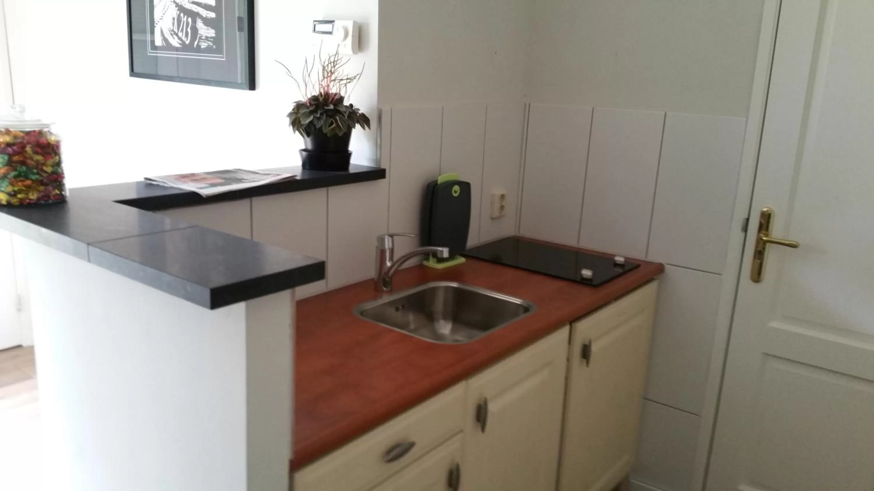 Kitchen or kitchenette in B&B De Reede