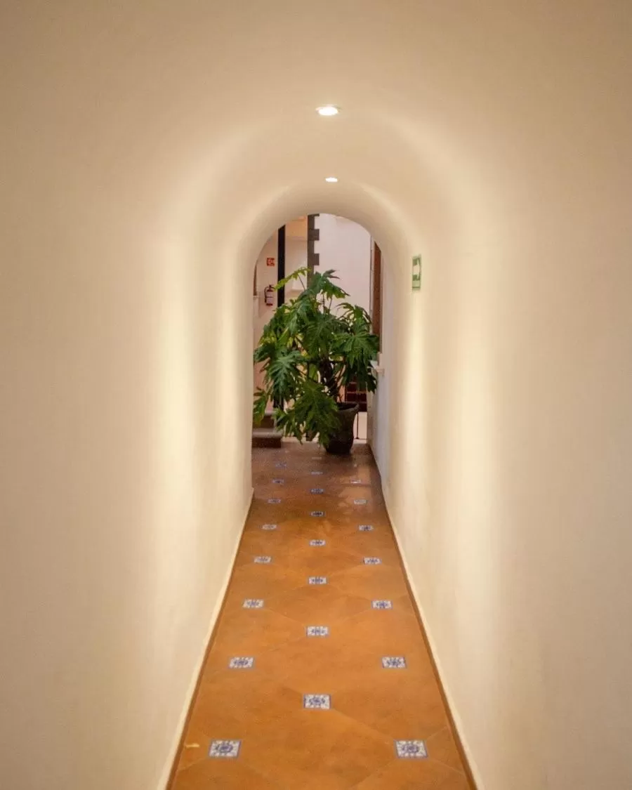 Property building in Hotel Catedral