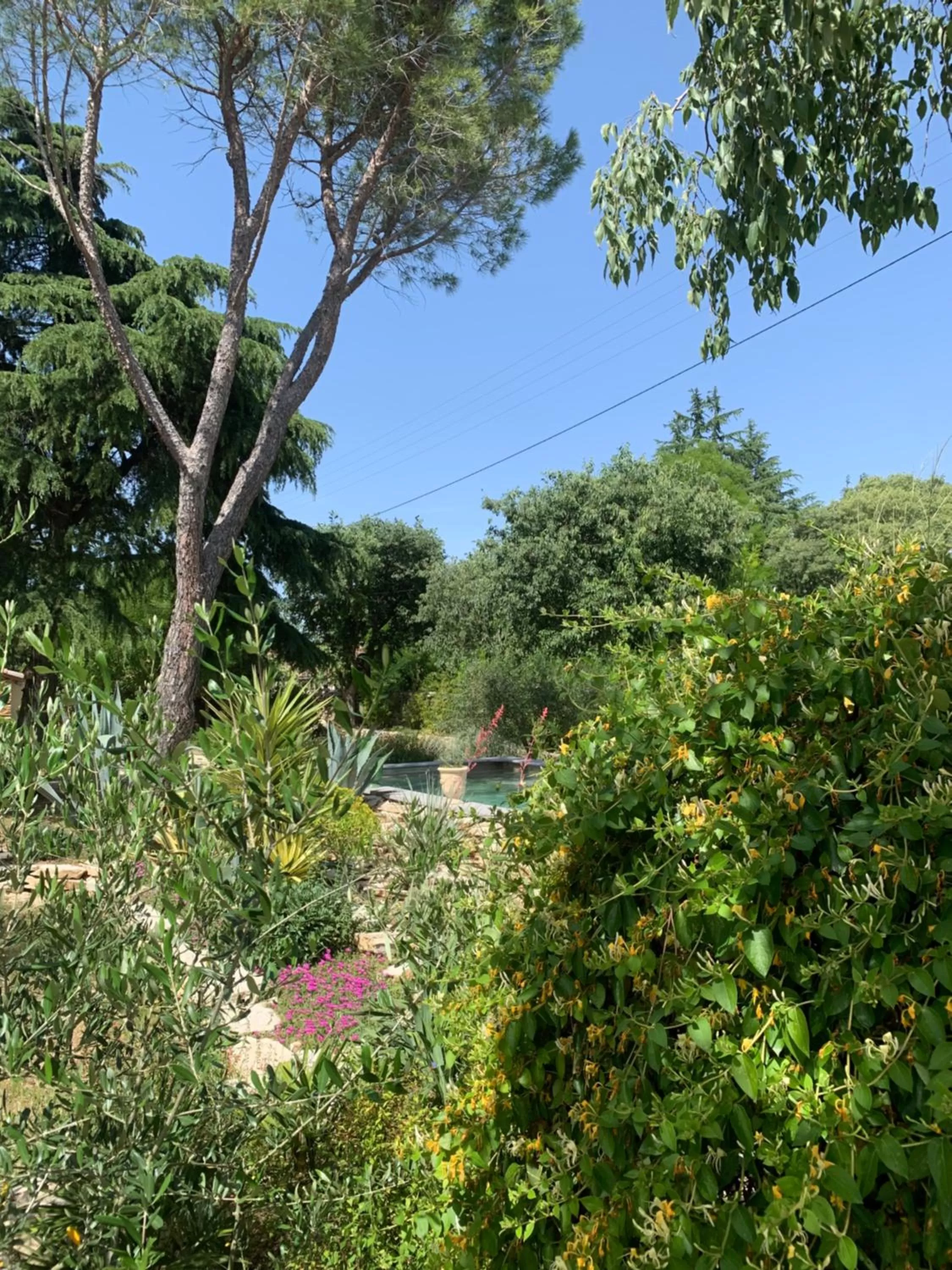 Garden in Chambres d'Hôtes Lovely Planette