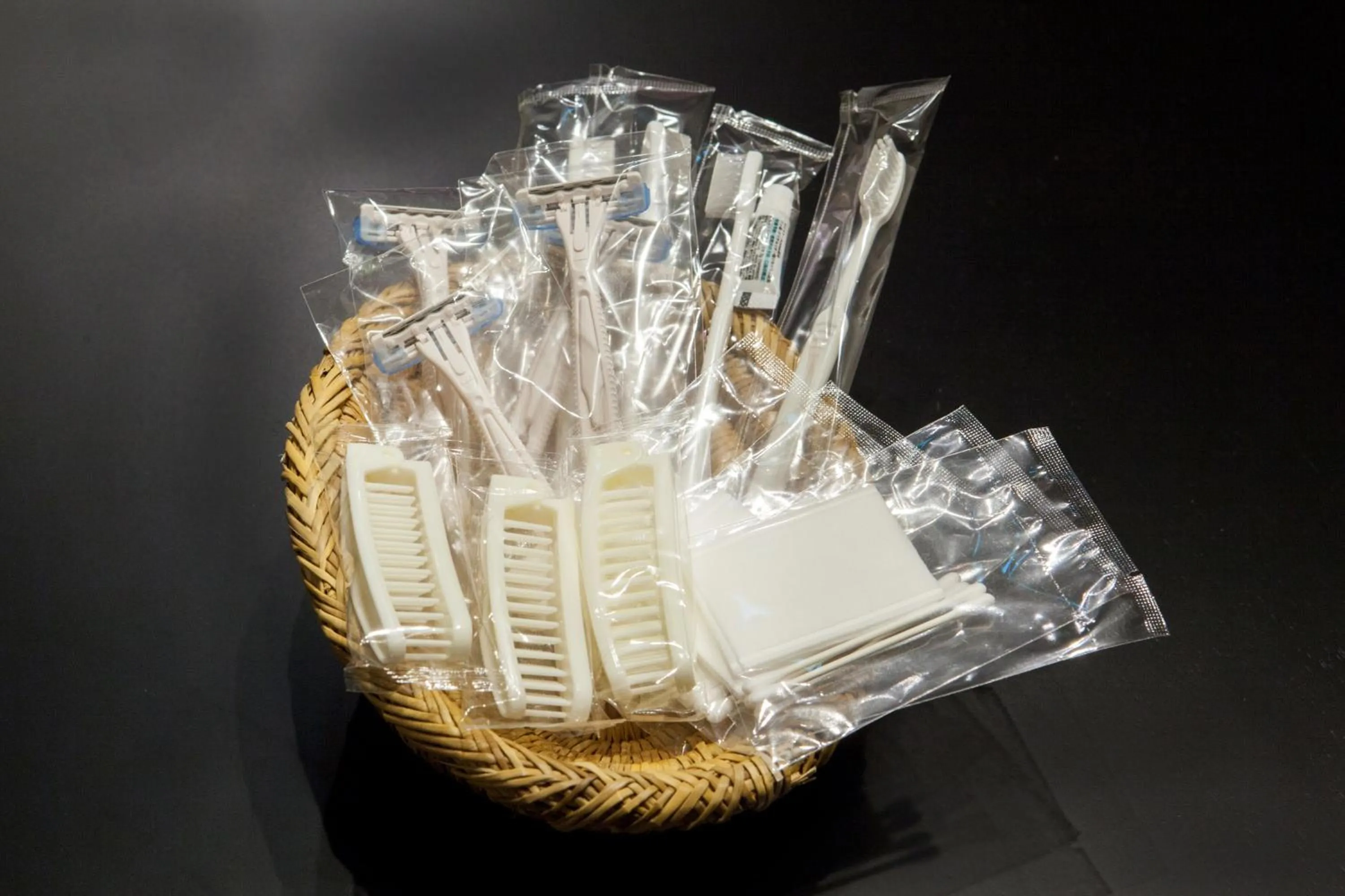 Other in Rinn Tofukuji Kamogawa