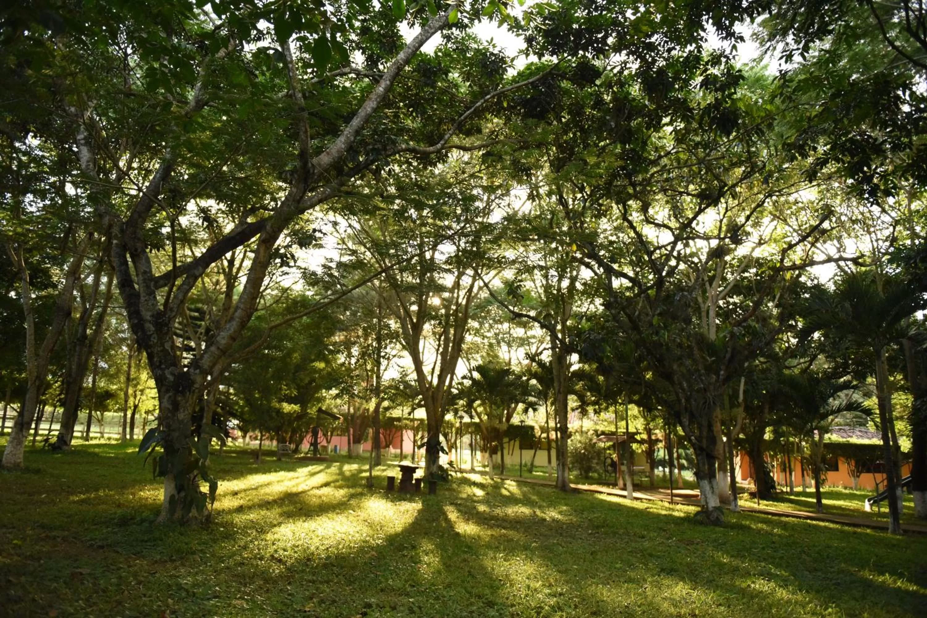 Natural landscape in Hotel de Campo Villa de Ada
