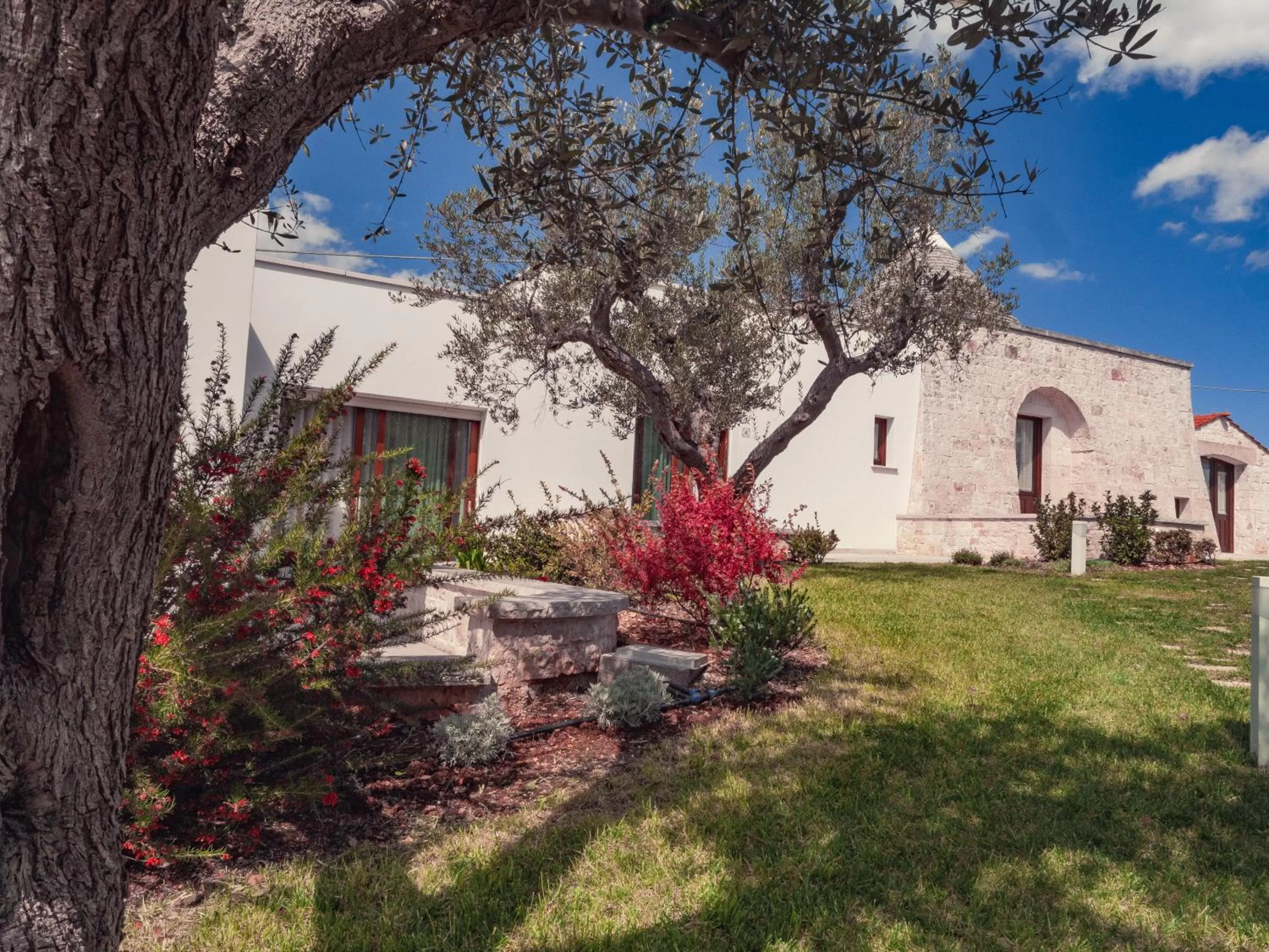 Property Building in Rifugio di Puglia - Trulli & Dimore