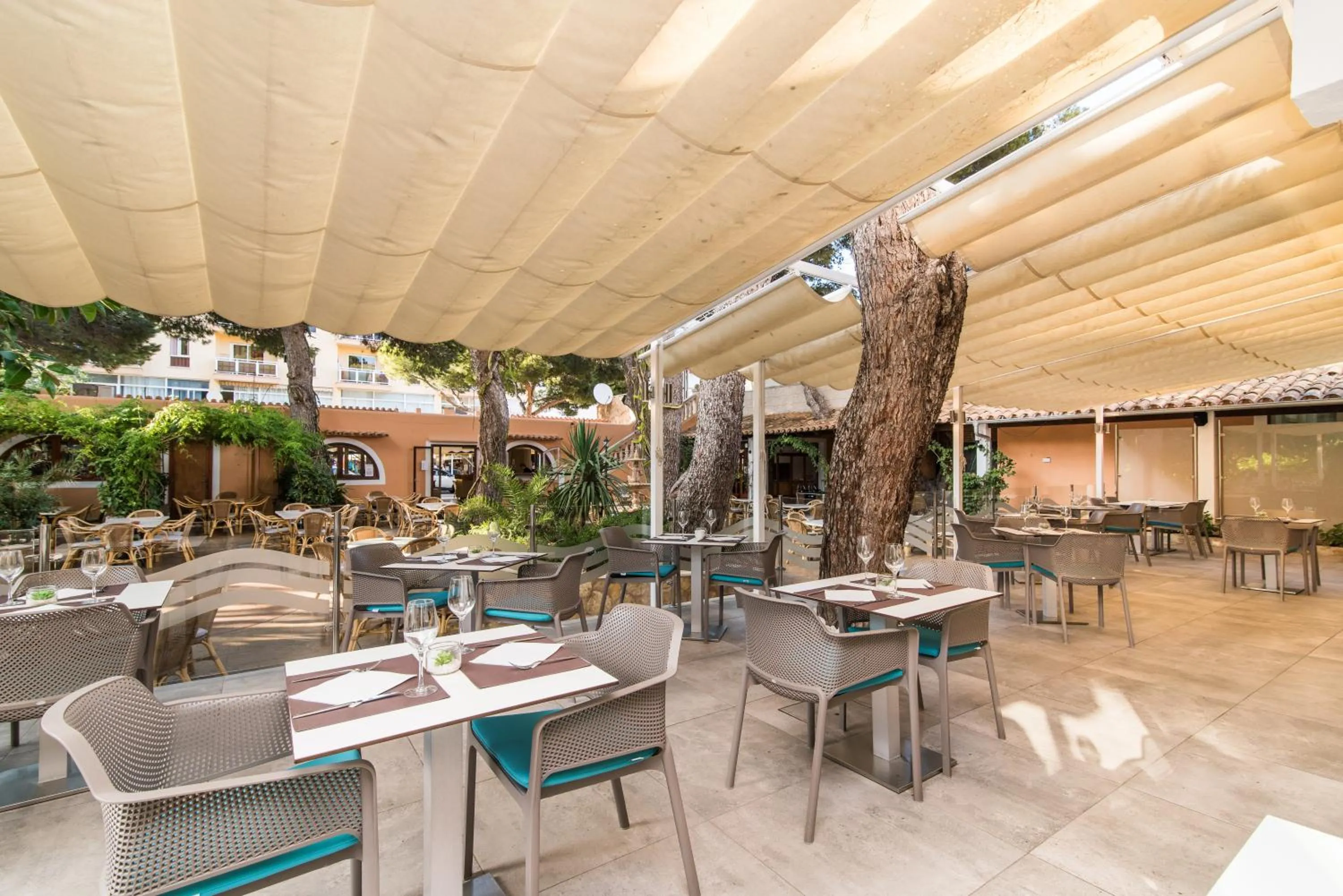 Restaurant/places to eat in Hotel Baviera