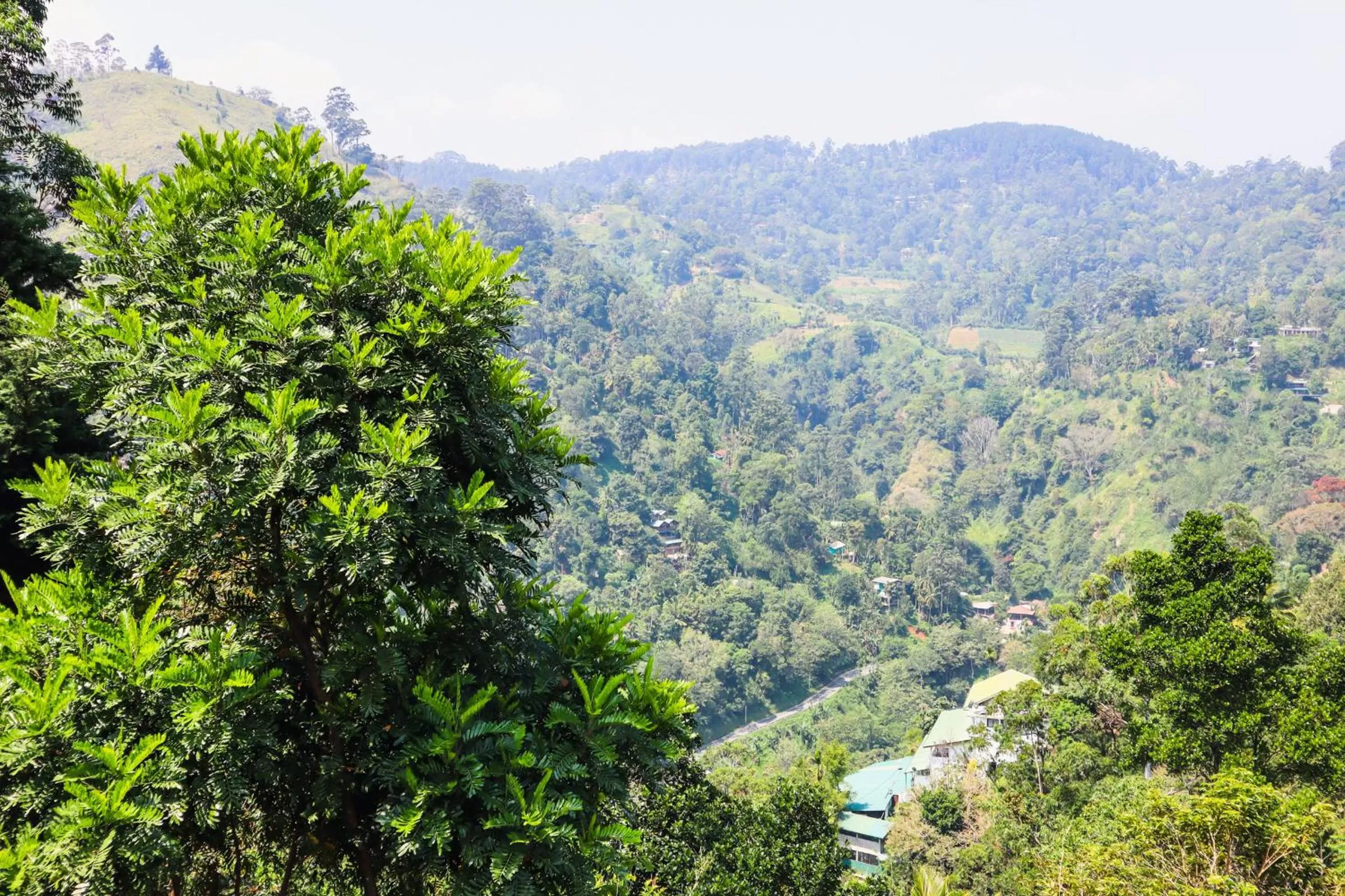 Natural landscape in Duet Hearts