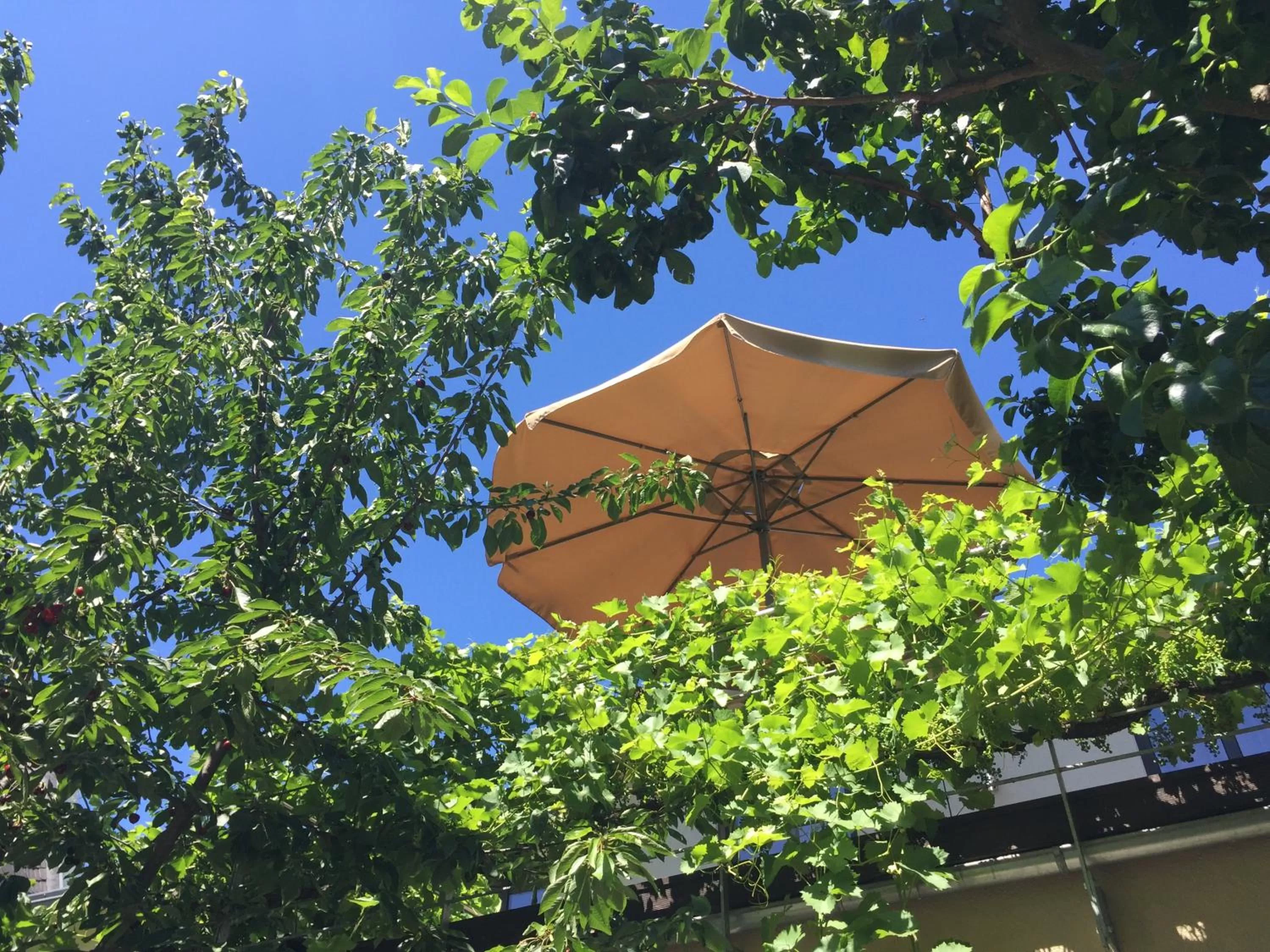 Balcony/Terrace in Jugendstil-Hof