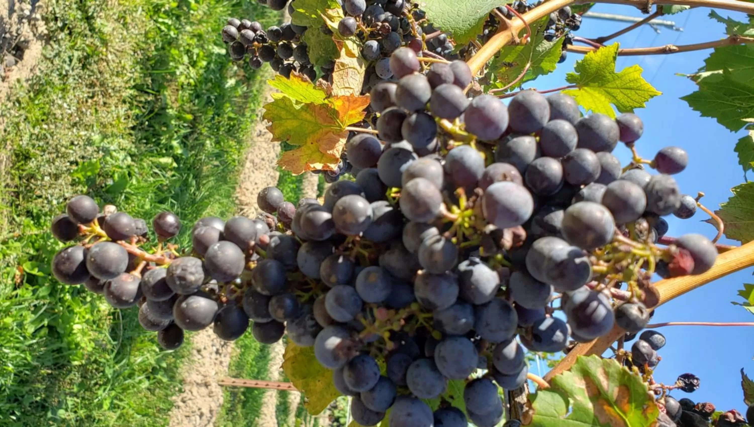 Activities in La Maison de Sophie