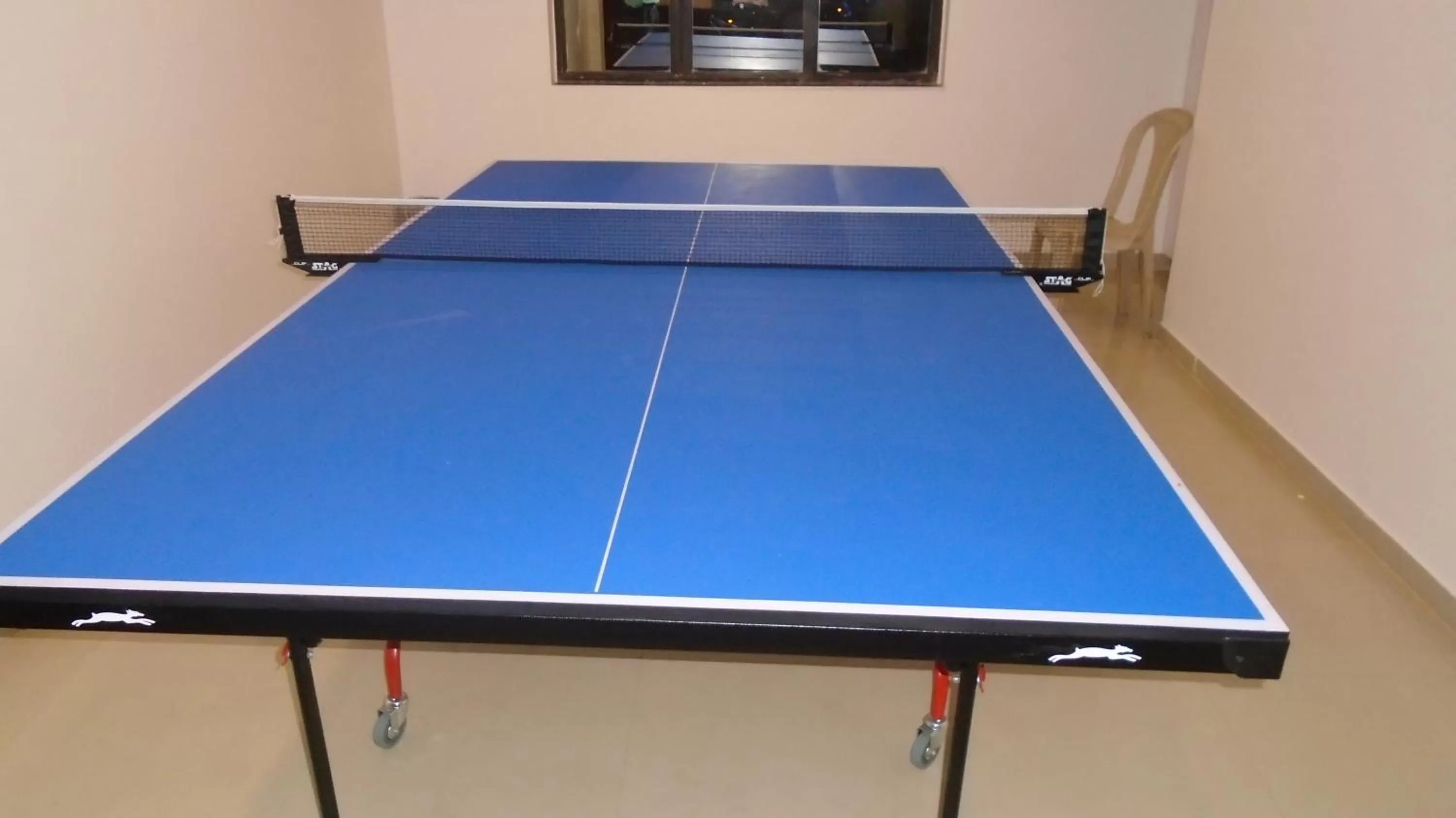 Game Room in Hotel Vrishali Executive