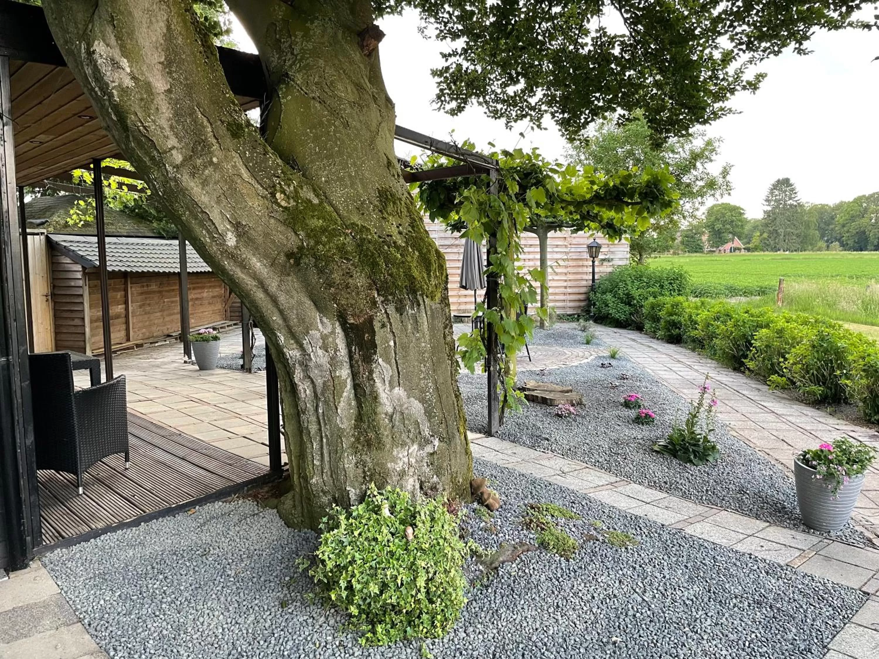 B&B Usselo Klein, fijn en uniek!