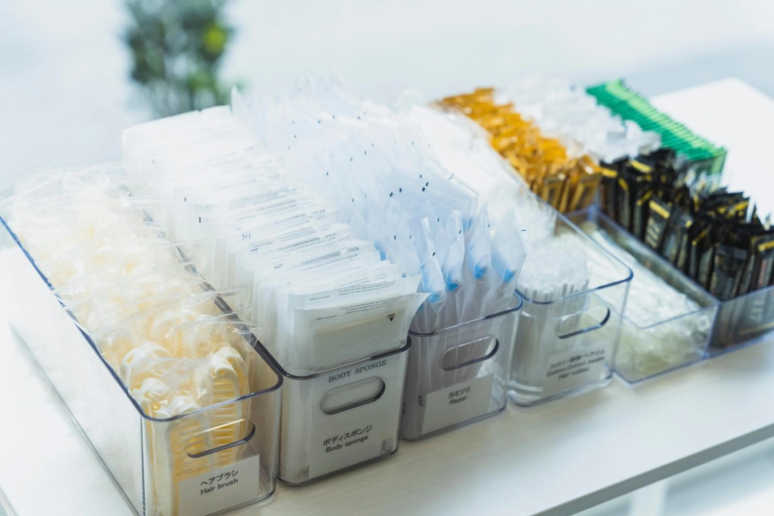 Other in Rembrandt Style Naha