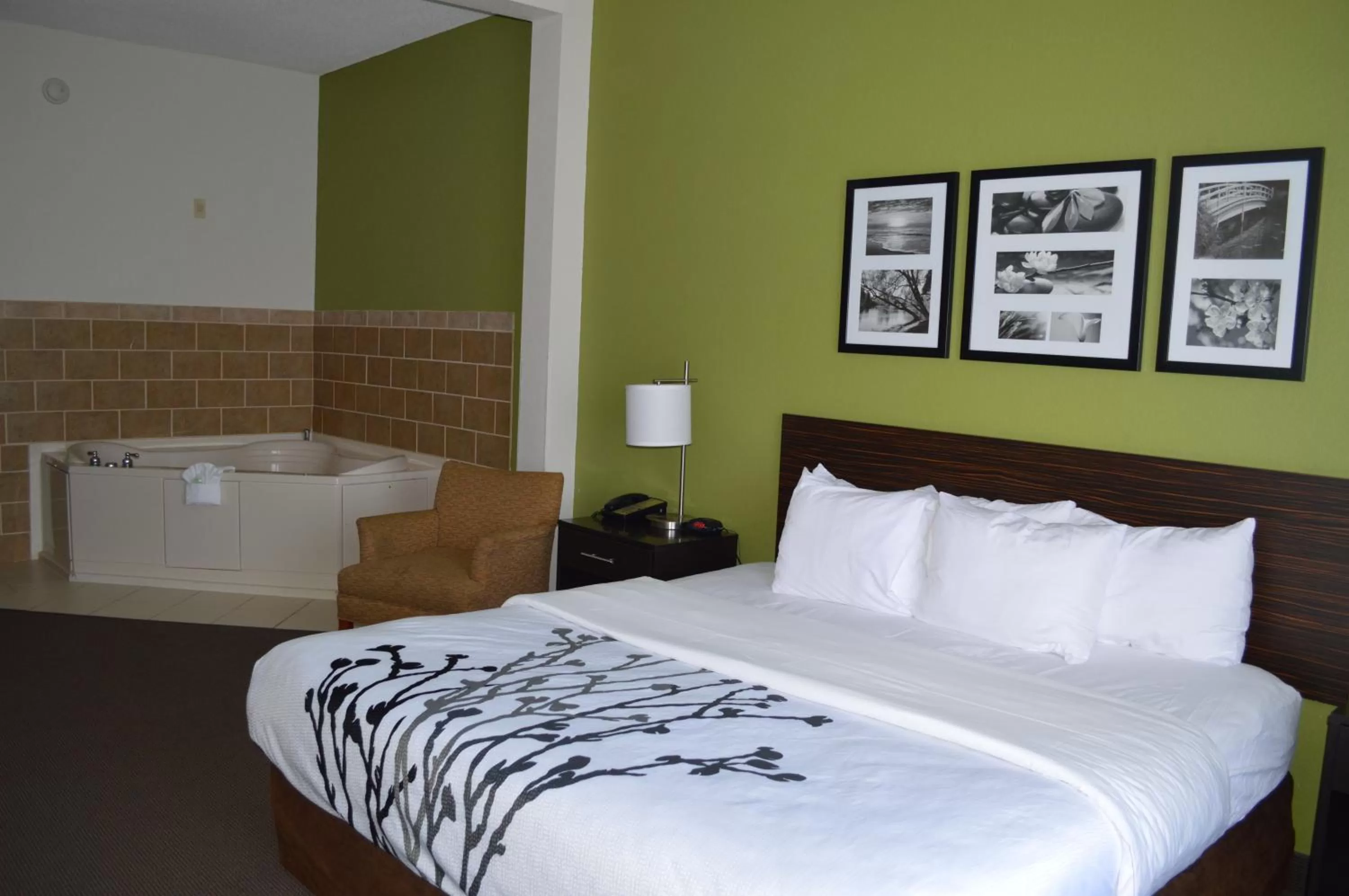 King Suite with Hot Tub - Non-Smoking in Sleep Inn & Suites Virginia Horse Center