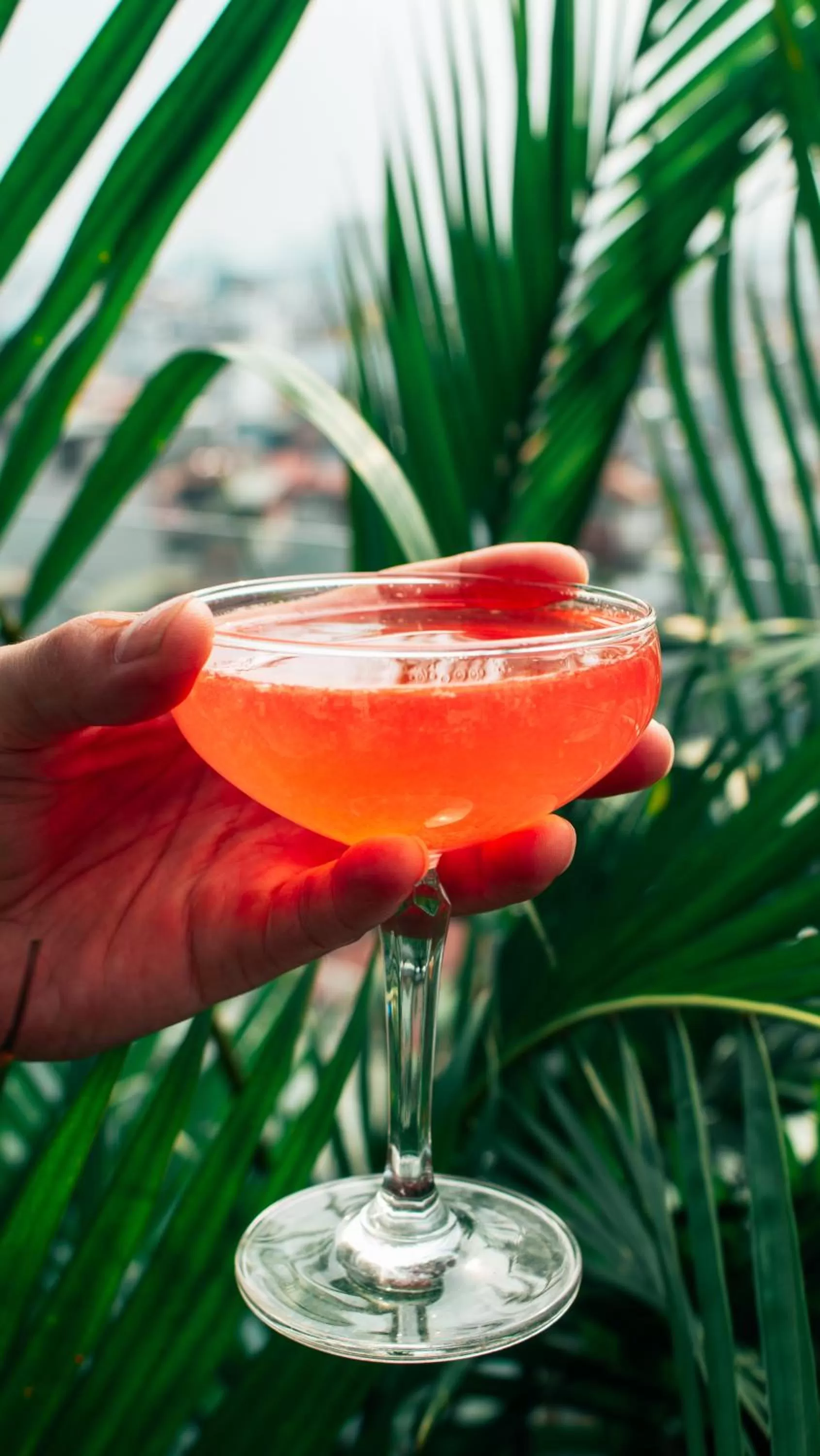 Drinks in Hanoi Backpackers Hostel & Rooftop bar