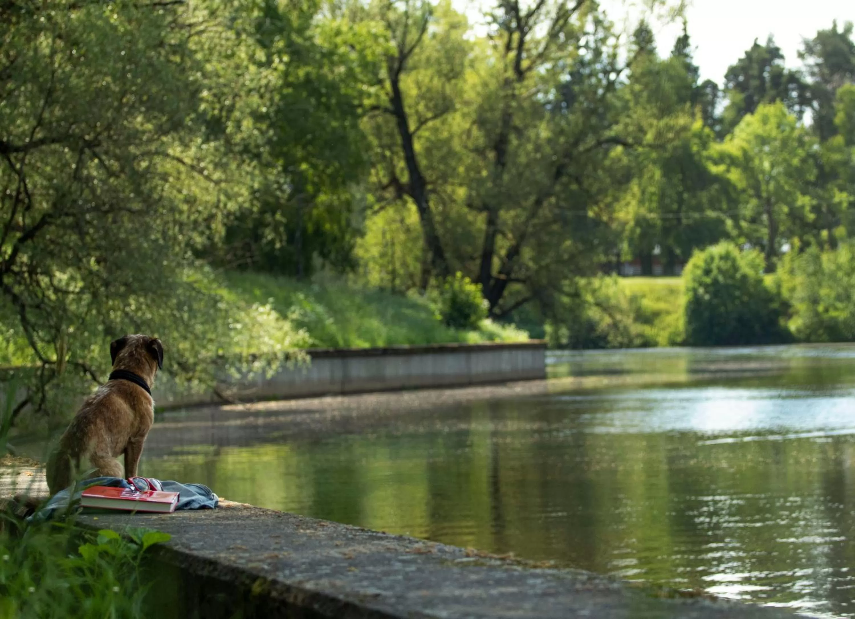 Natural landscape in Clarion Hotel Winn