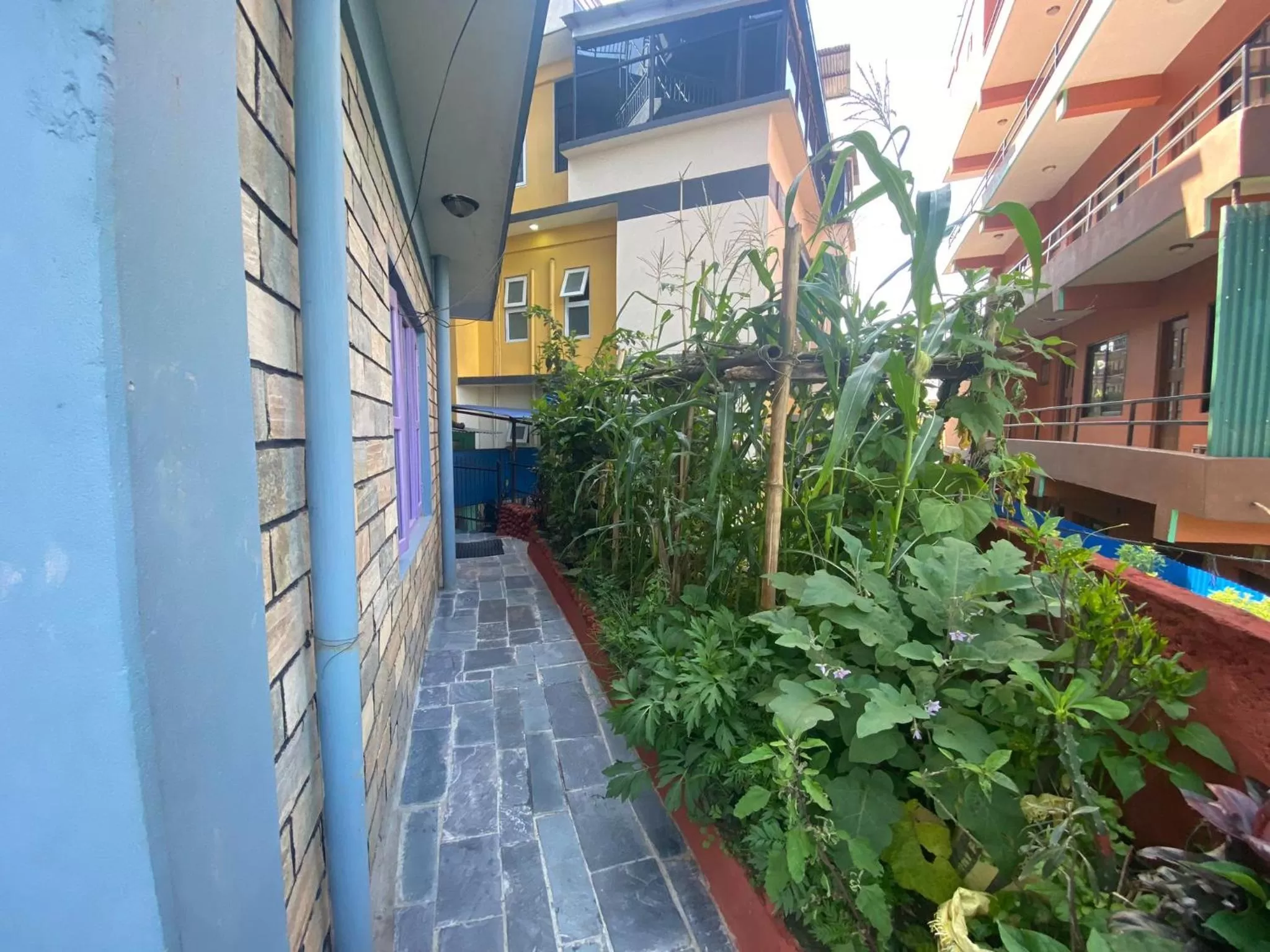 Balcony/Terrace in Hotel Harmony
