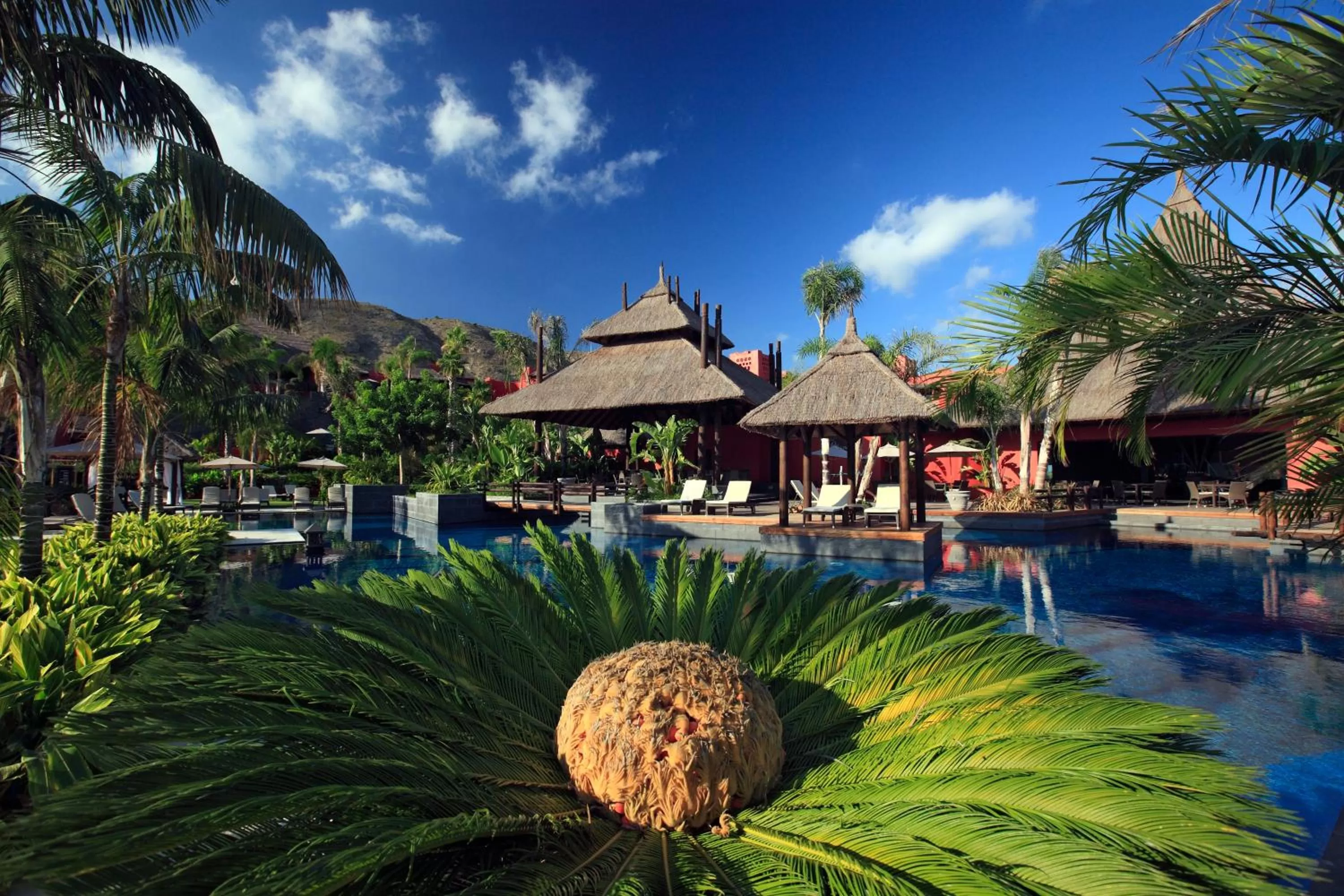 Restaurant/places to eat in Asia Gardens Hotel & Thai Spa, a Royal Hideaway Hotel