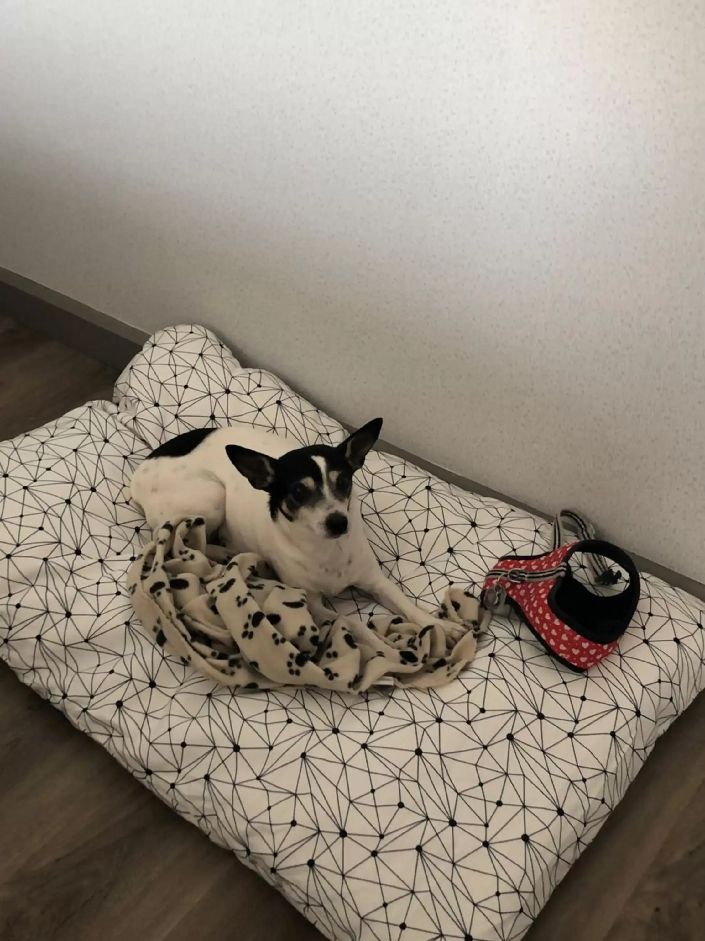 Holiday Inn Express Quebec City-Sainte Foy by IHG Holiday Inn Express Quebec City-Sainte Foy by IHG