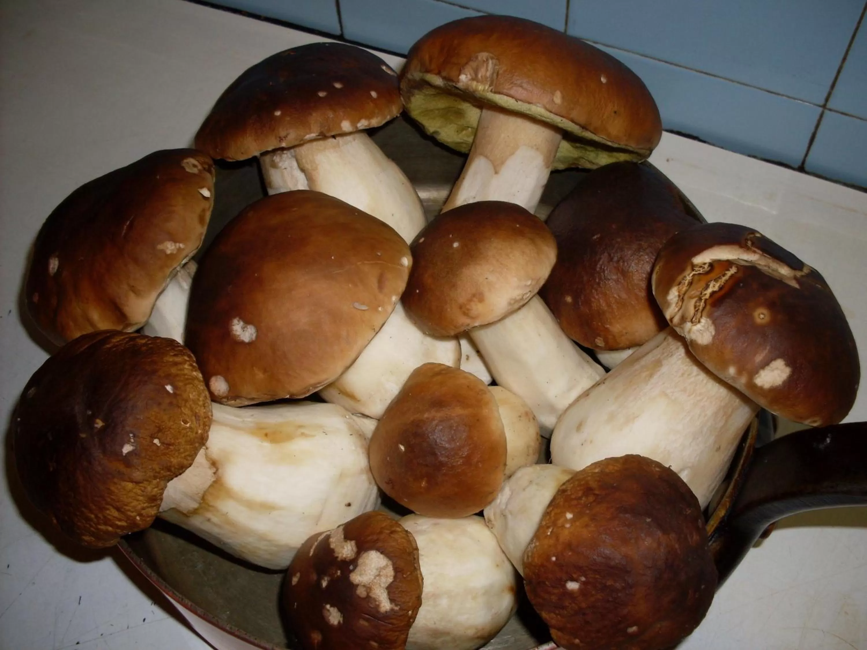 Other in Urban Style L'Etape