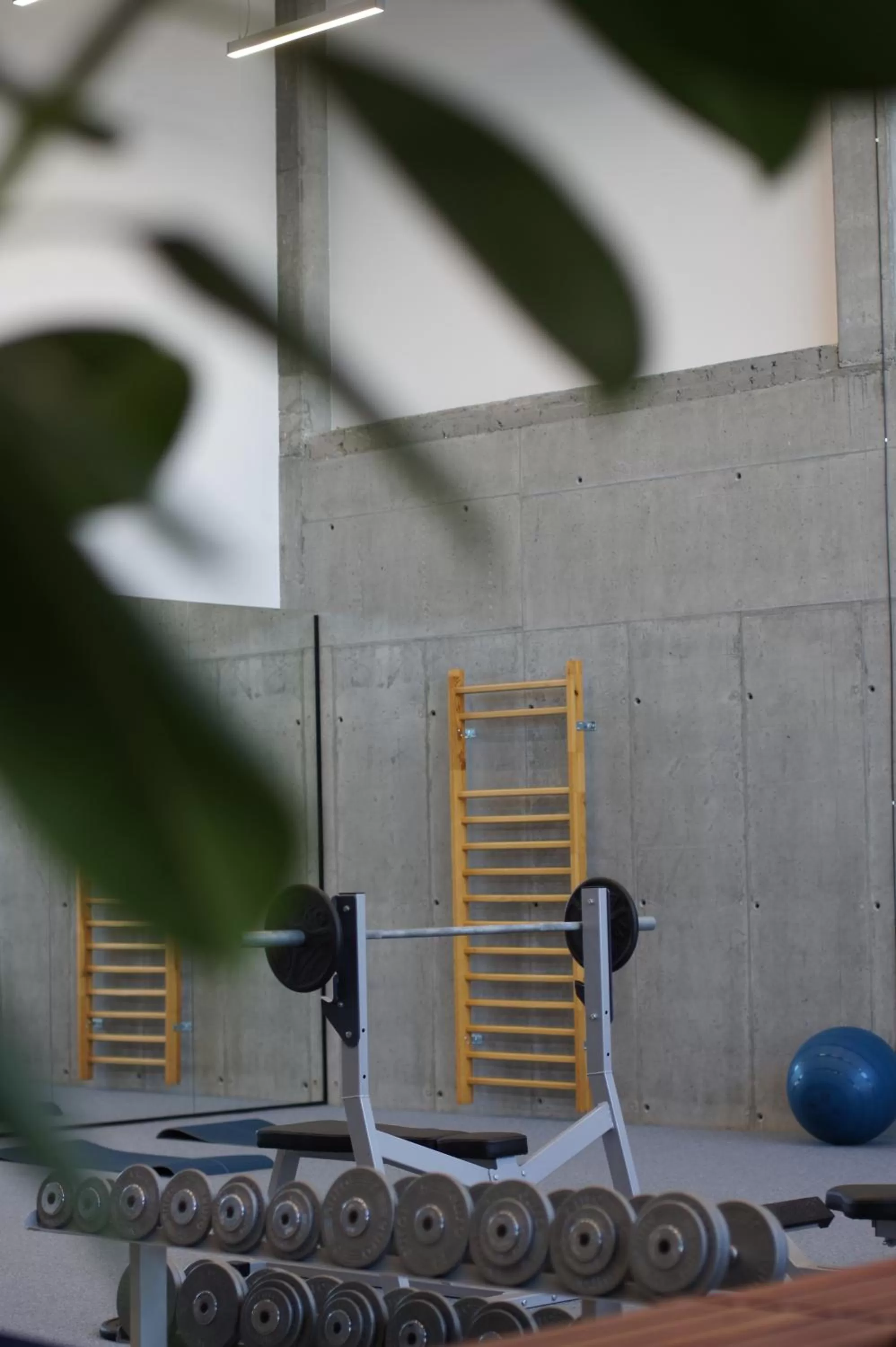 Fitness centre/facilities in Green Loft Gdynia