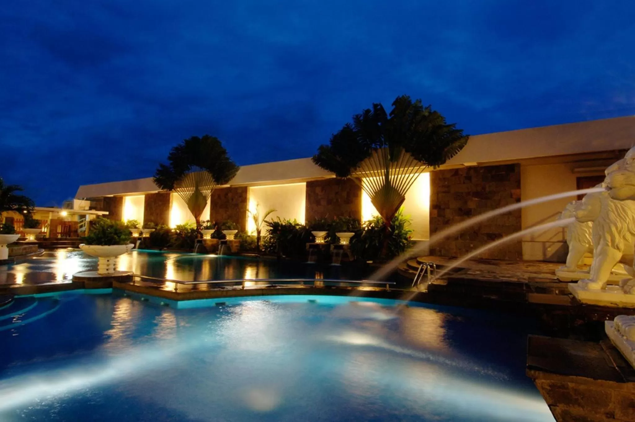 Swimming pool in Aryaduta Palembang