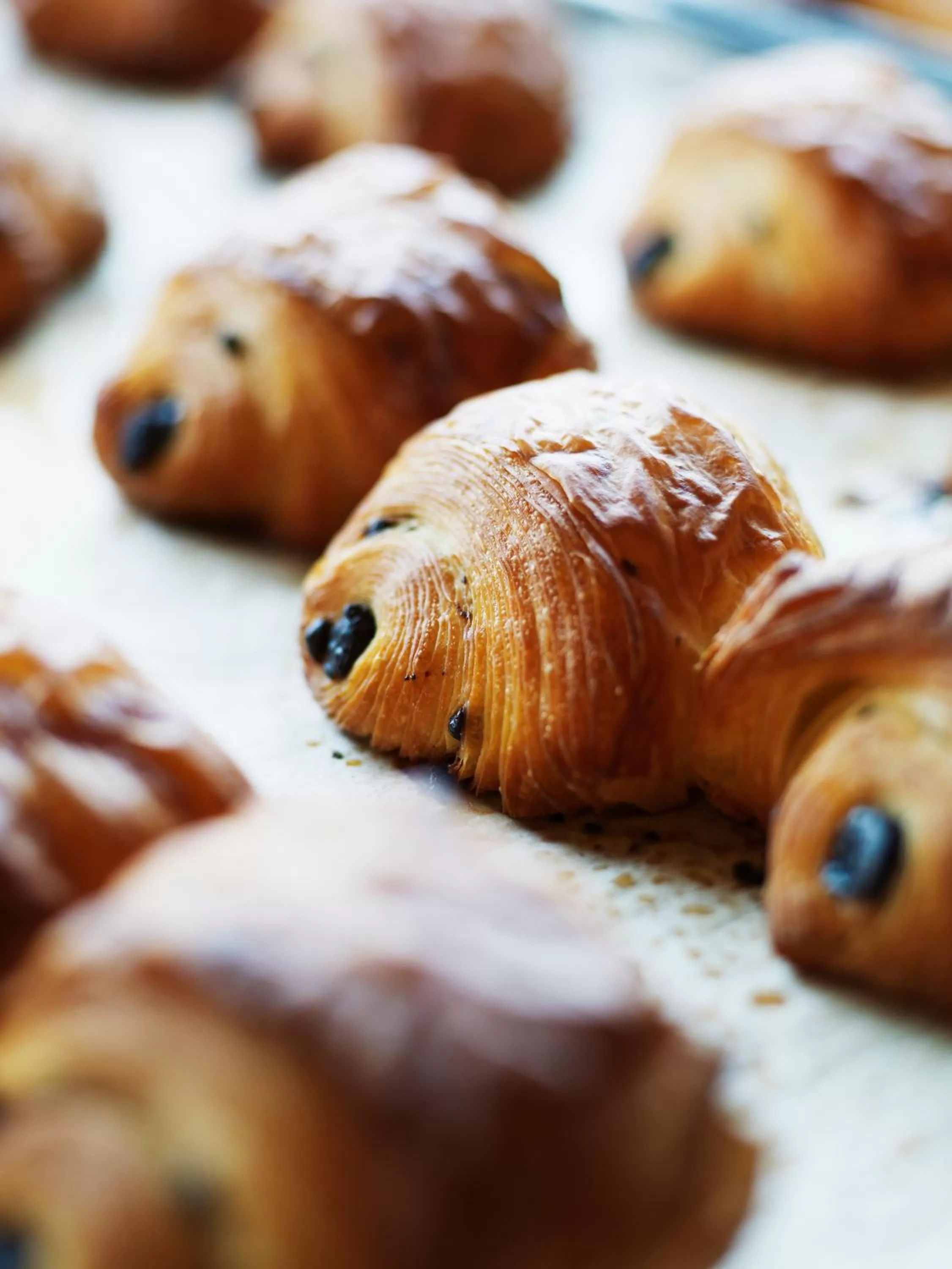 Food close-up in ibis Chateauroux
