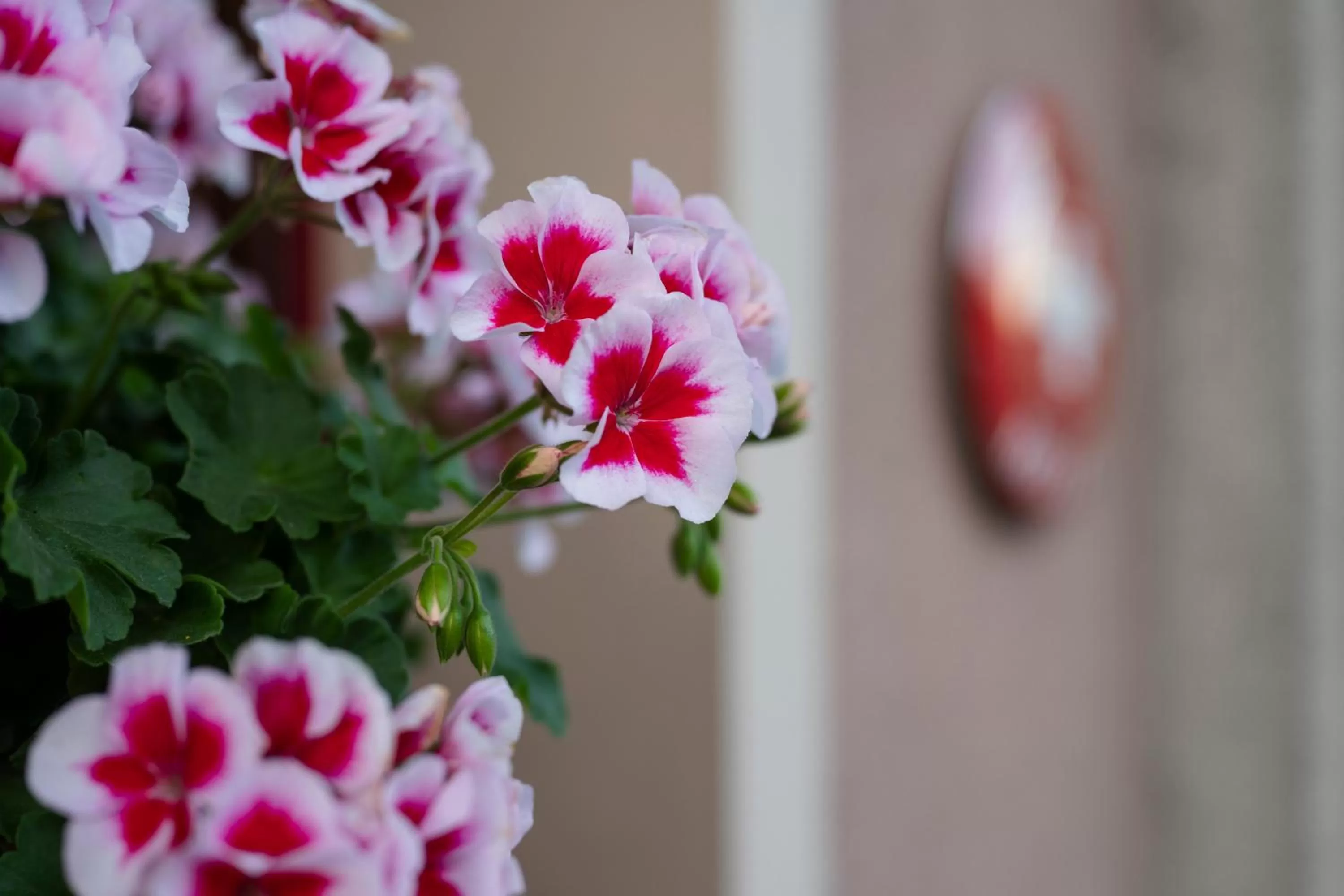 Decorative detail in Hotel-Restaurant Eyholz