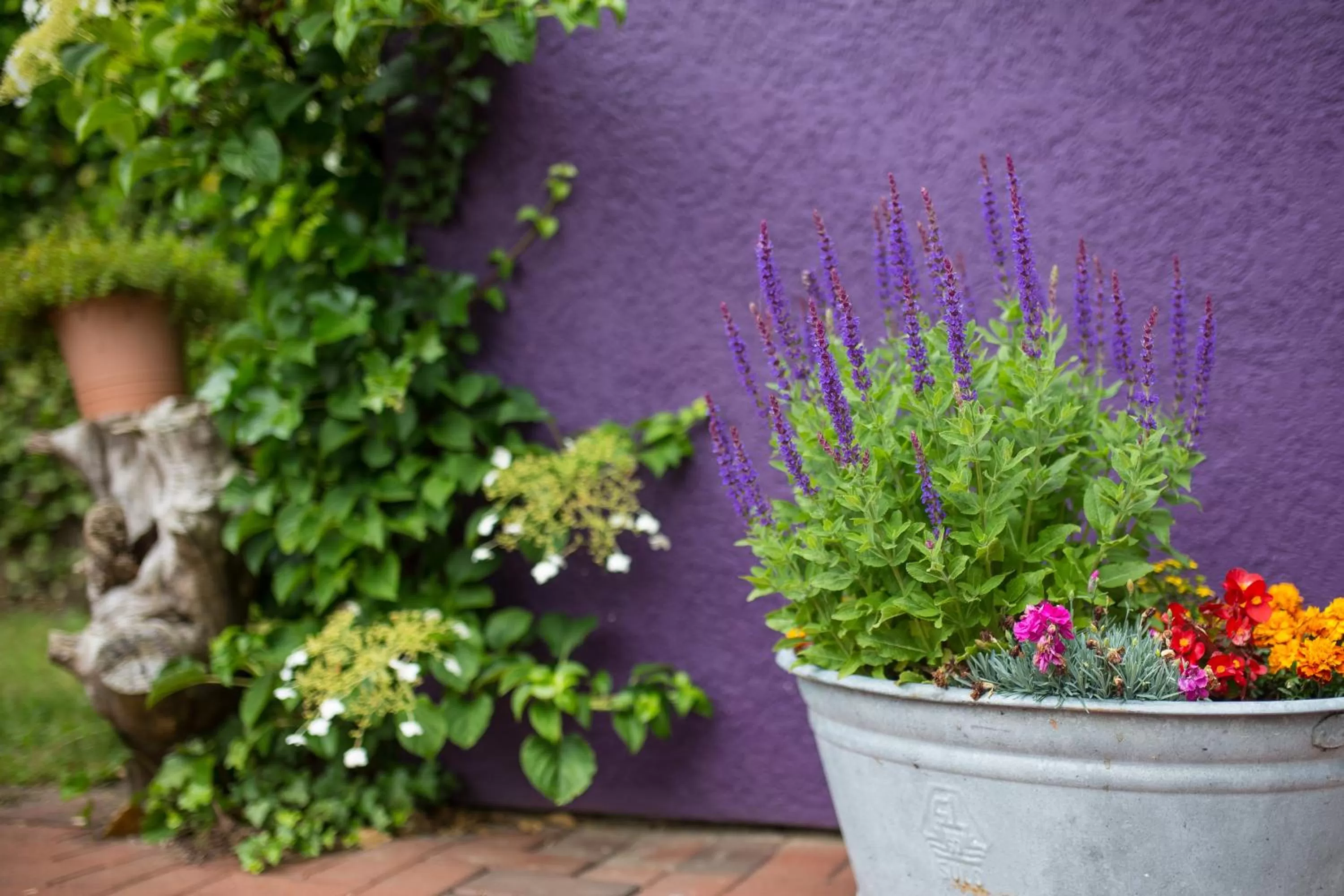 Decorative detail in BE BIO Hotel be active - Nähe historischer Hafen