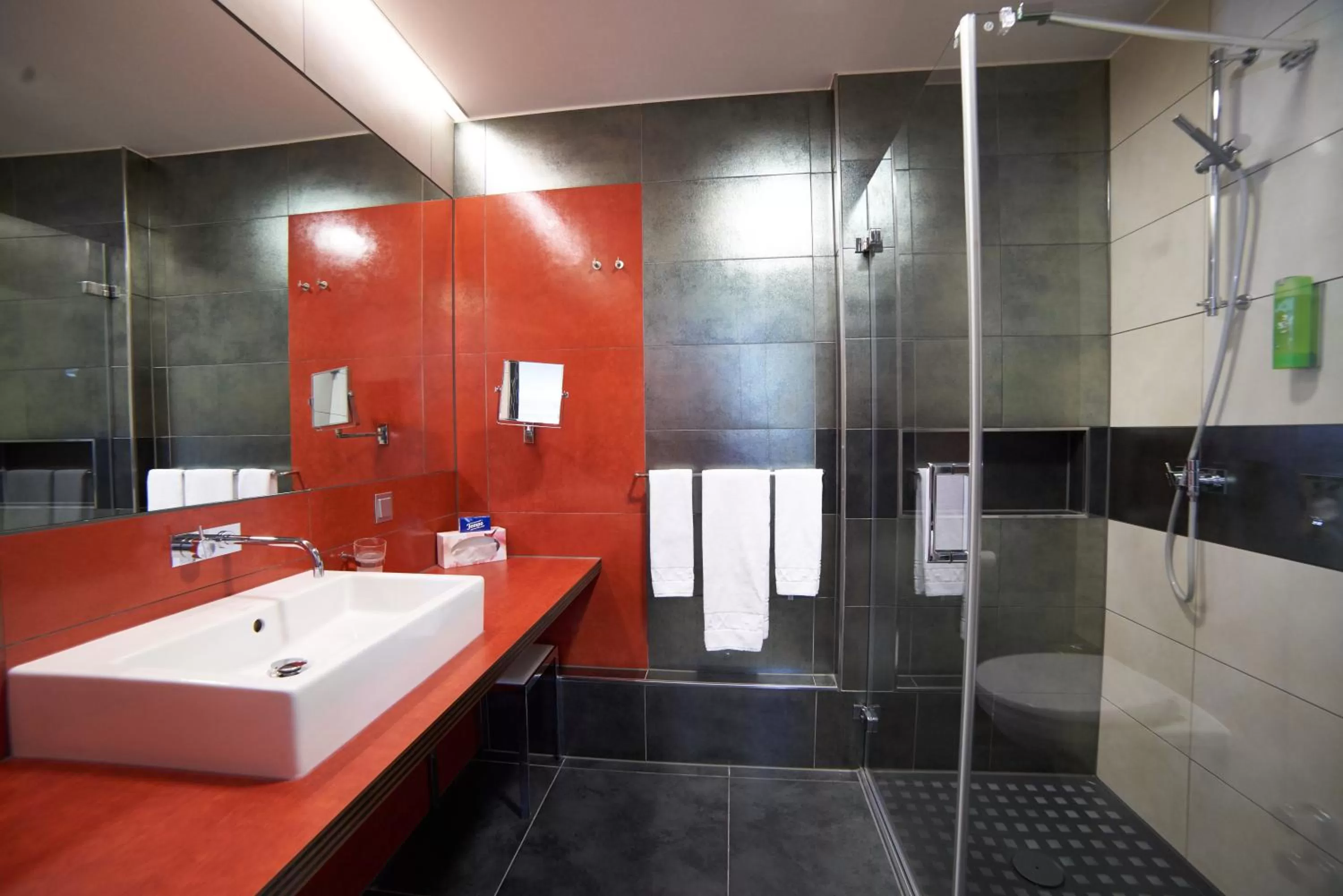 Shower in Hotel Maxlhaid