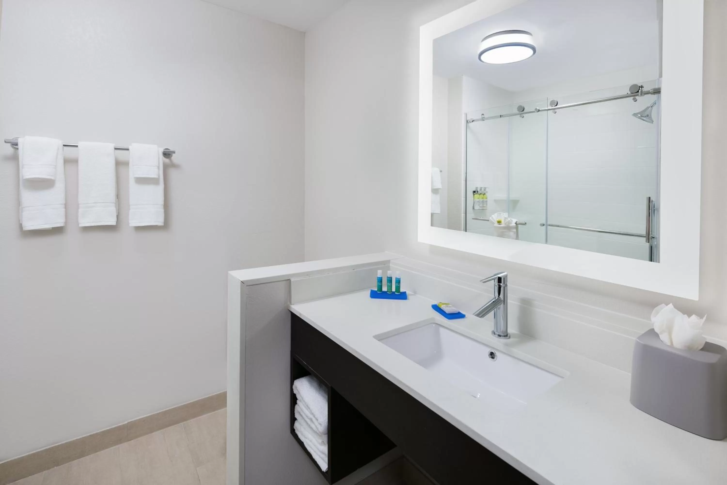 Bathroom in Holiday Inn Express & Suites- Sugar Land SE - Missouri City by IHG