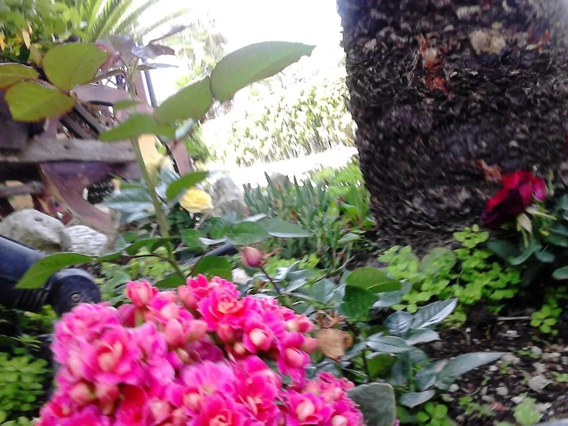 Spring, Garden in Green Park Hotel