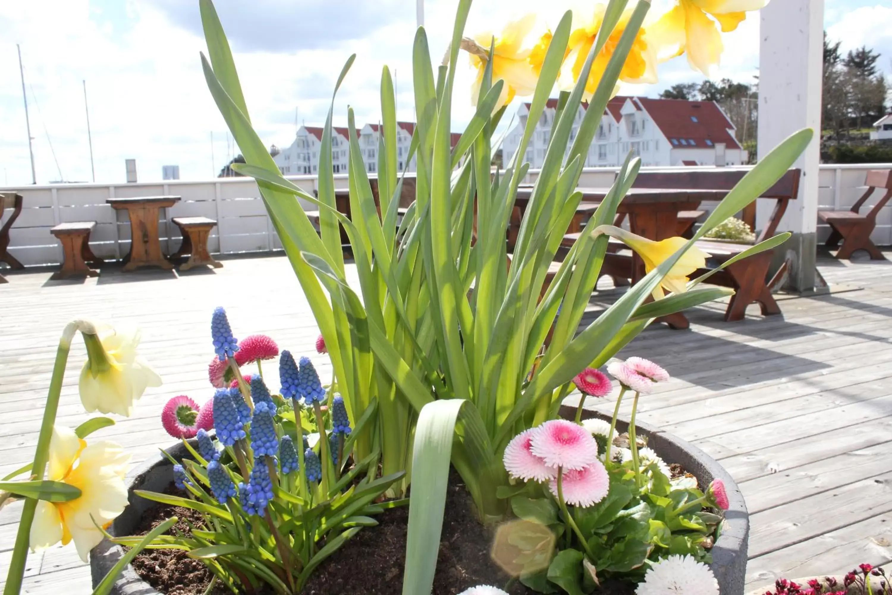 Single Room in Hummeren Hotel Single Room in Hummeren Hotel