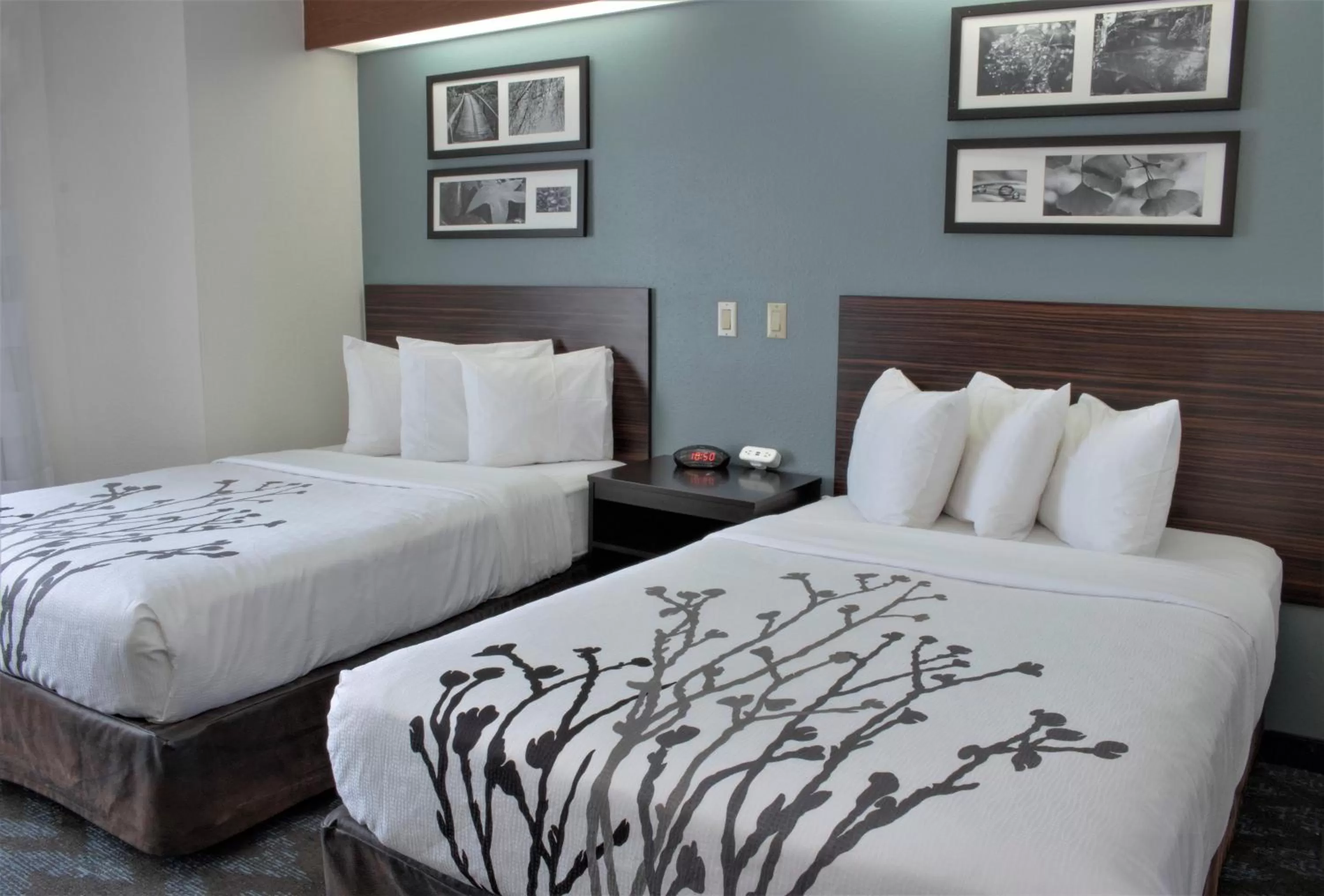 Bed in Sleep Inn Lake Wright - Norfolk Airport