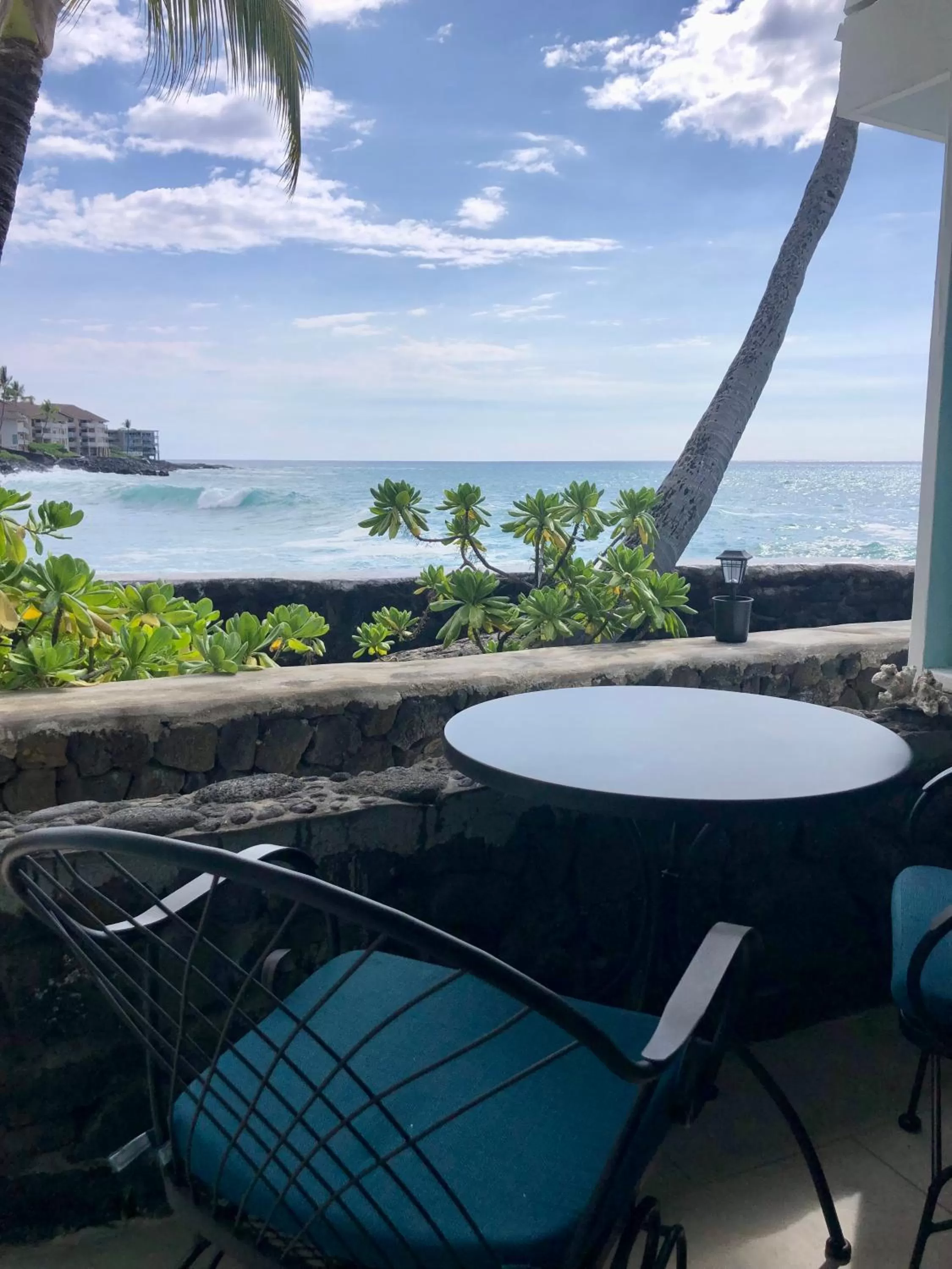 Patio in Kona Tiki Hotel - No Resort Fees