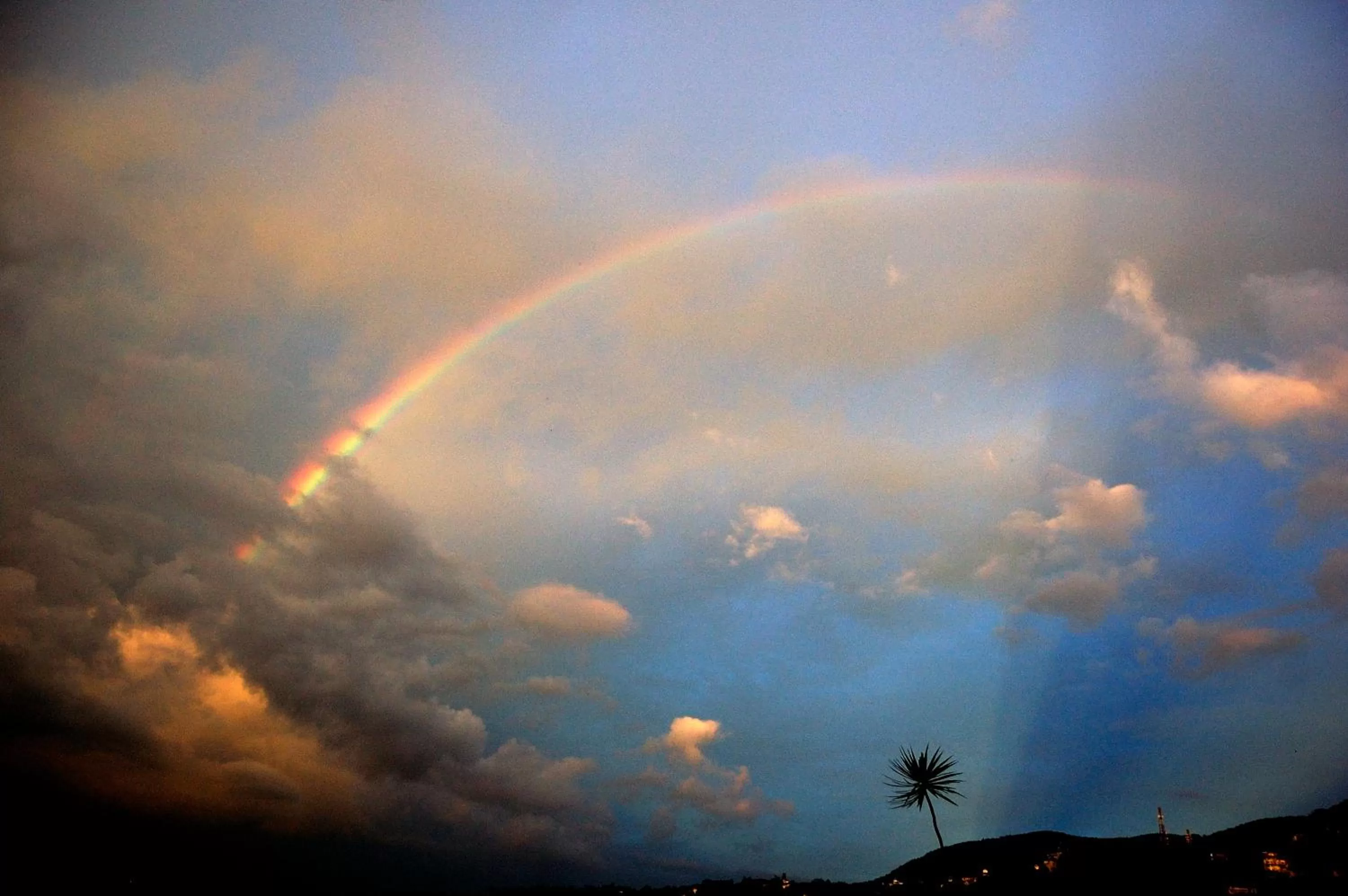Landmark view, Other Animals in Evergreen