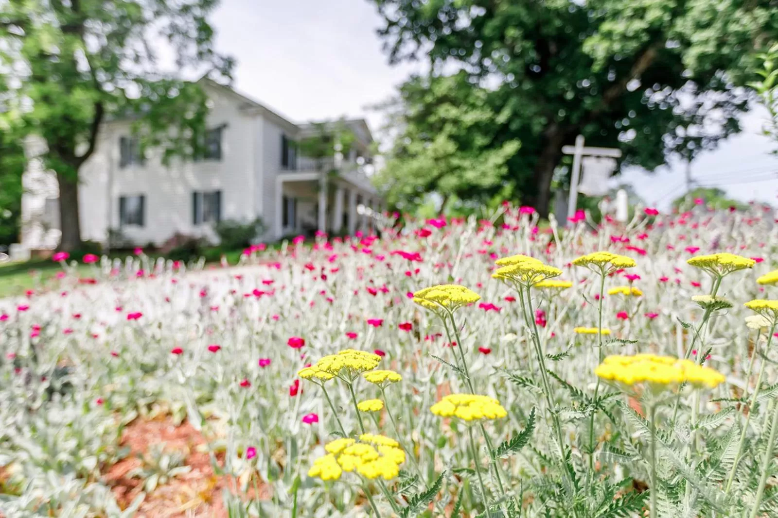 Garden in The Babcock House