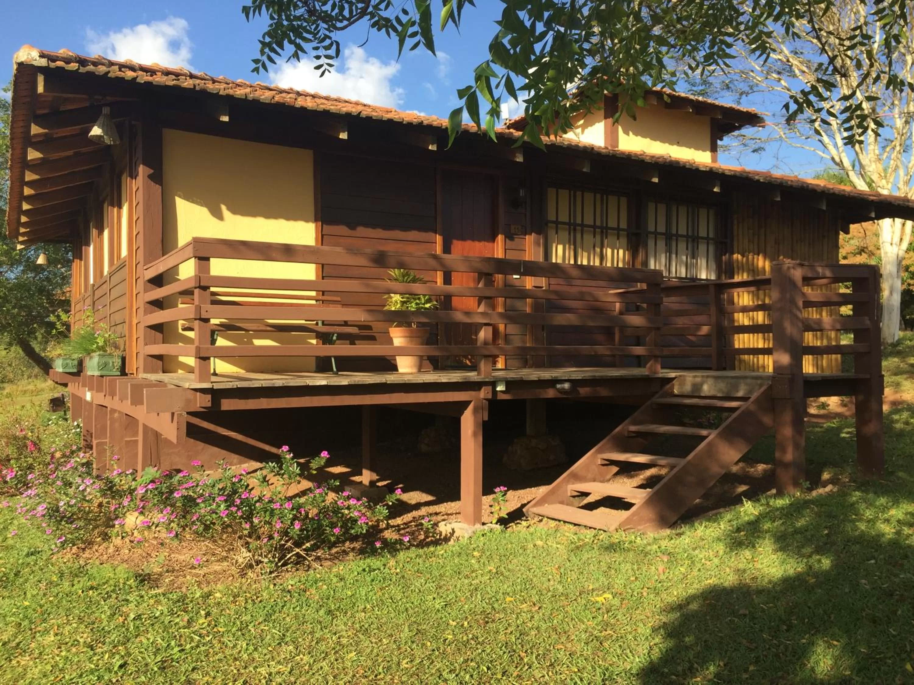 Garden in Hotel Santa Esmeralda