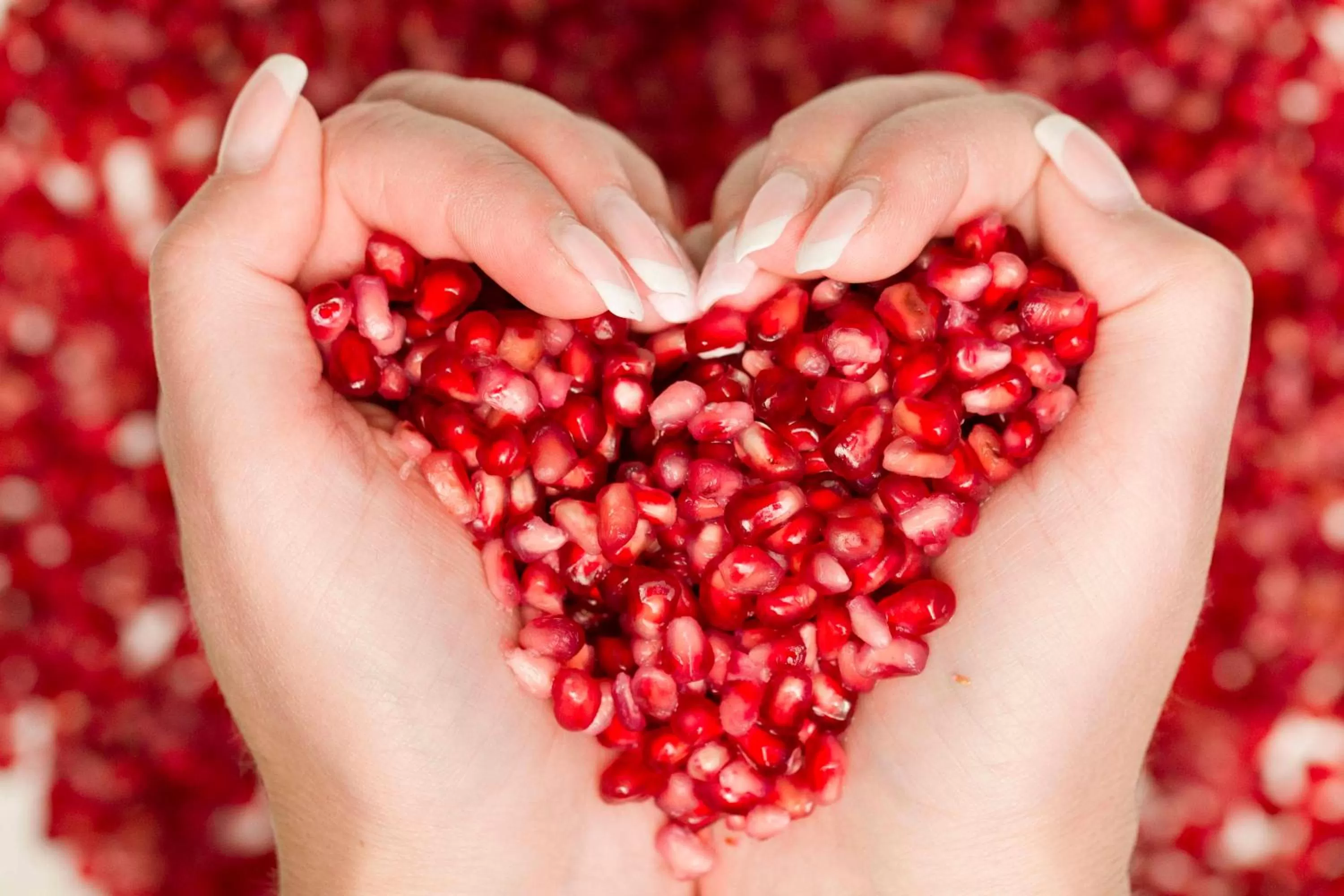 Breakfast in Falk Seehotel Plau am See