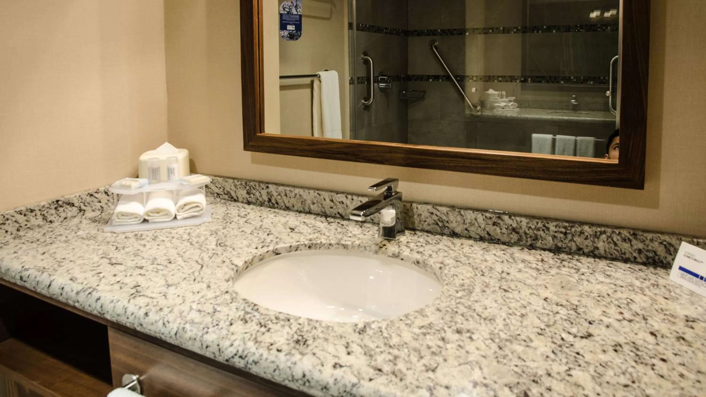 Bathroom in Holiday Inn Express and Suites Celaya by IHG