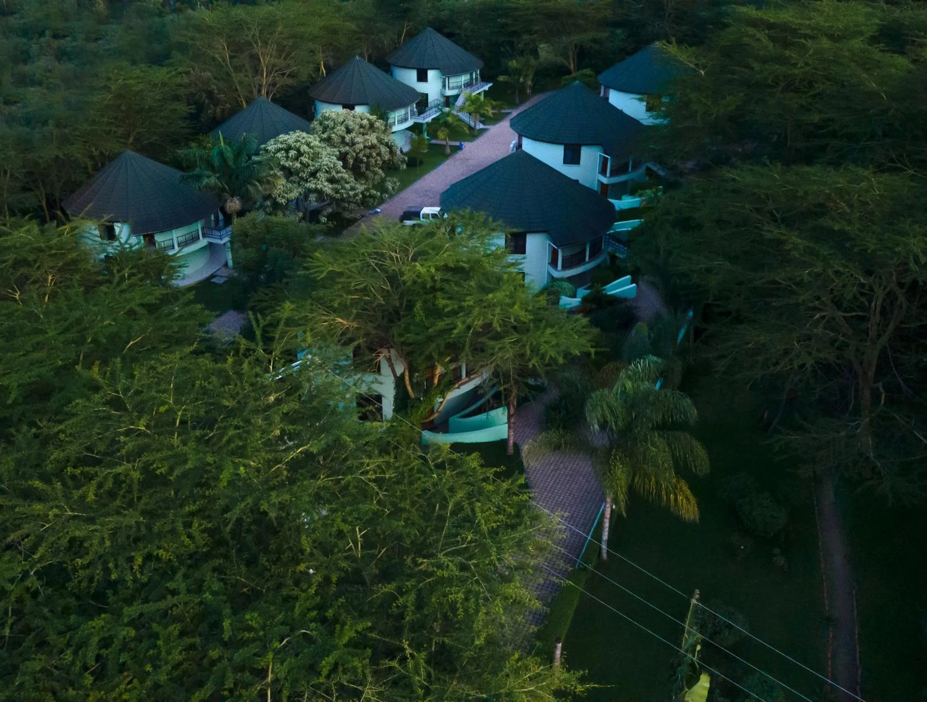 View (from property/room) in Forest Hill Hotel