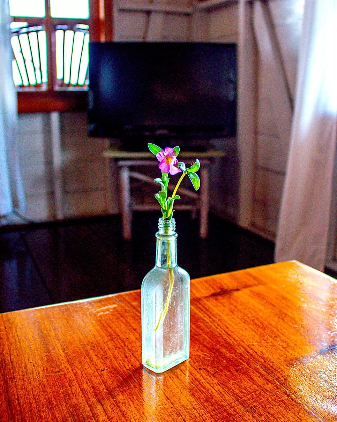 TV/Entertainment Center in Casa Acuario Boutique Hotel