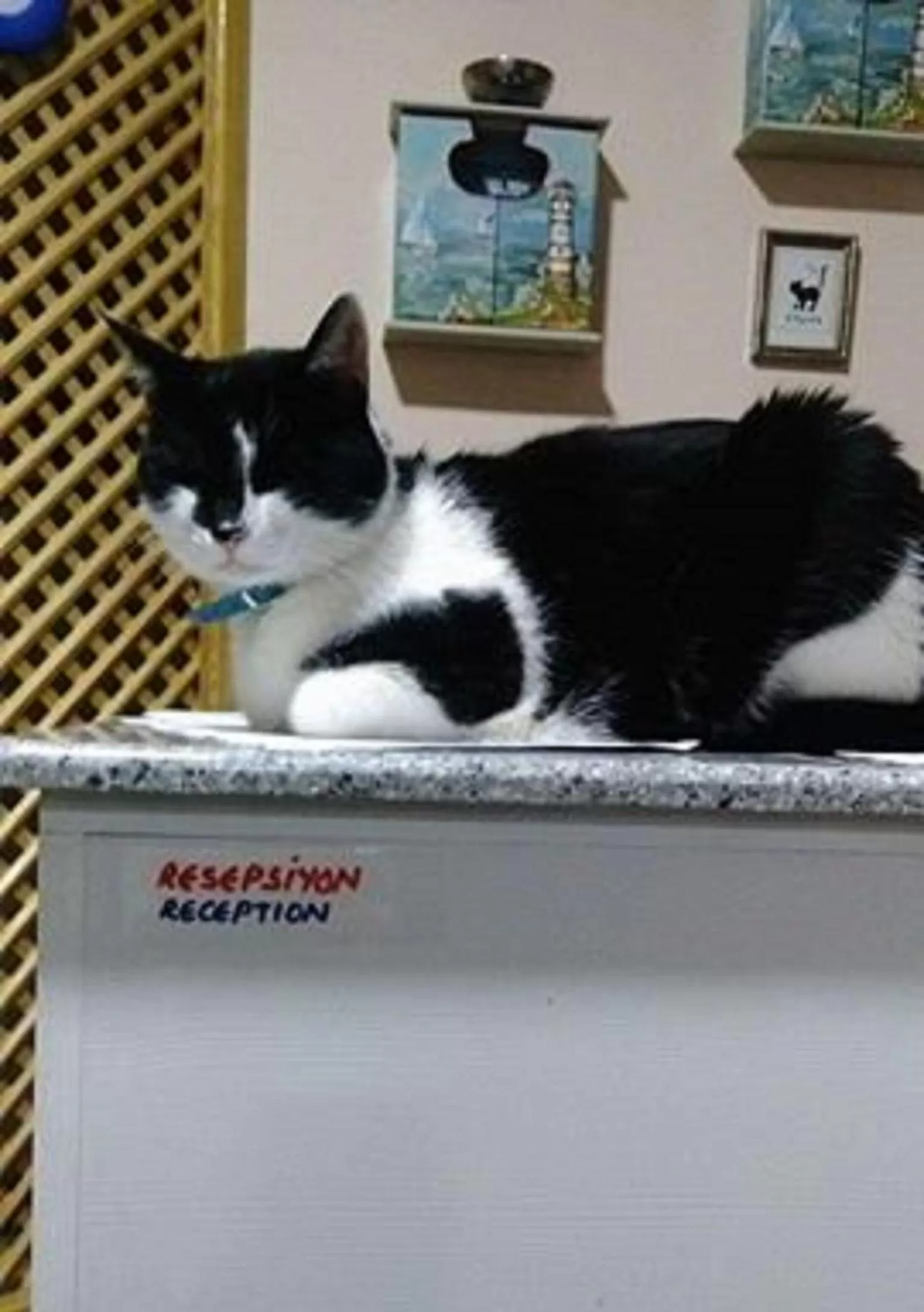 Lobby or reception in Ede Apart Otel